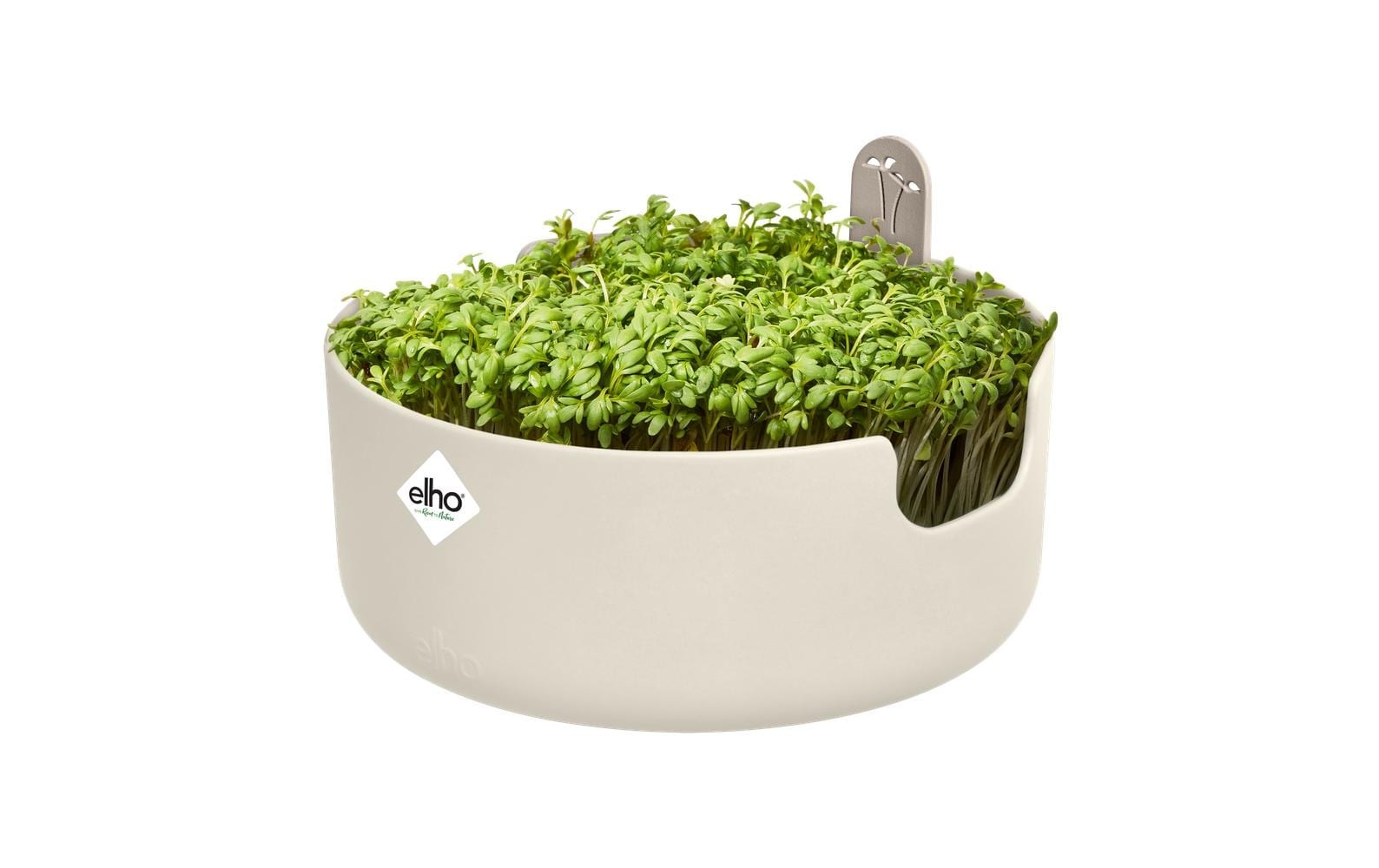 Elho Kräutertopf "Magic Microgreens 17 cm"