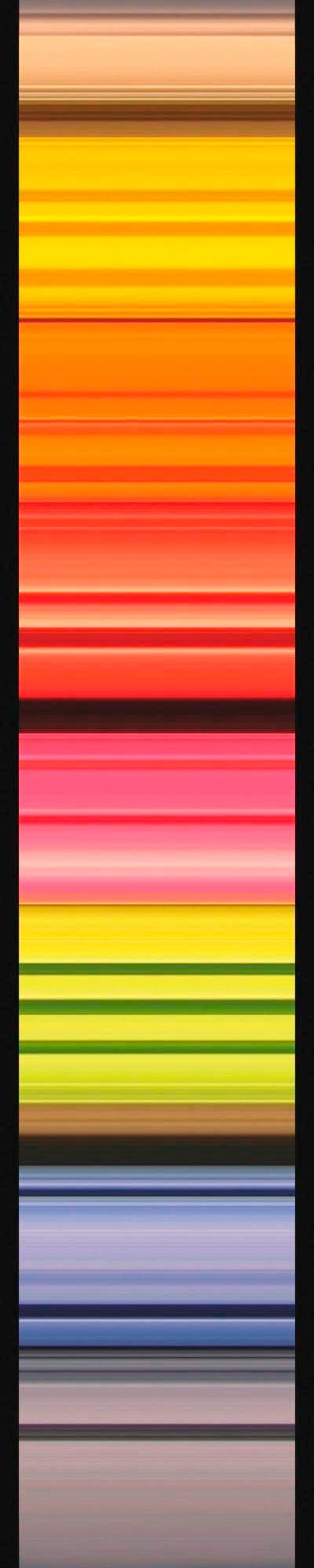 Image of Komar Vliestapete "Digitaldruck Vlies - Stripes - Grösse 50 x 270 cm" bedruckt glatt Wohnzimmer, Schlafzimmer