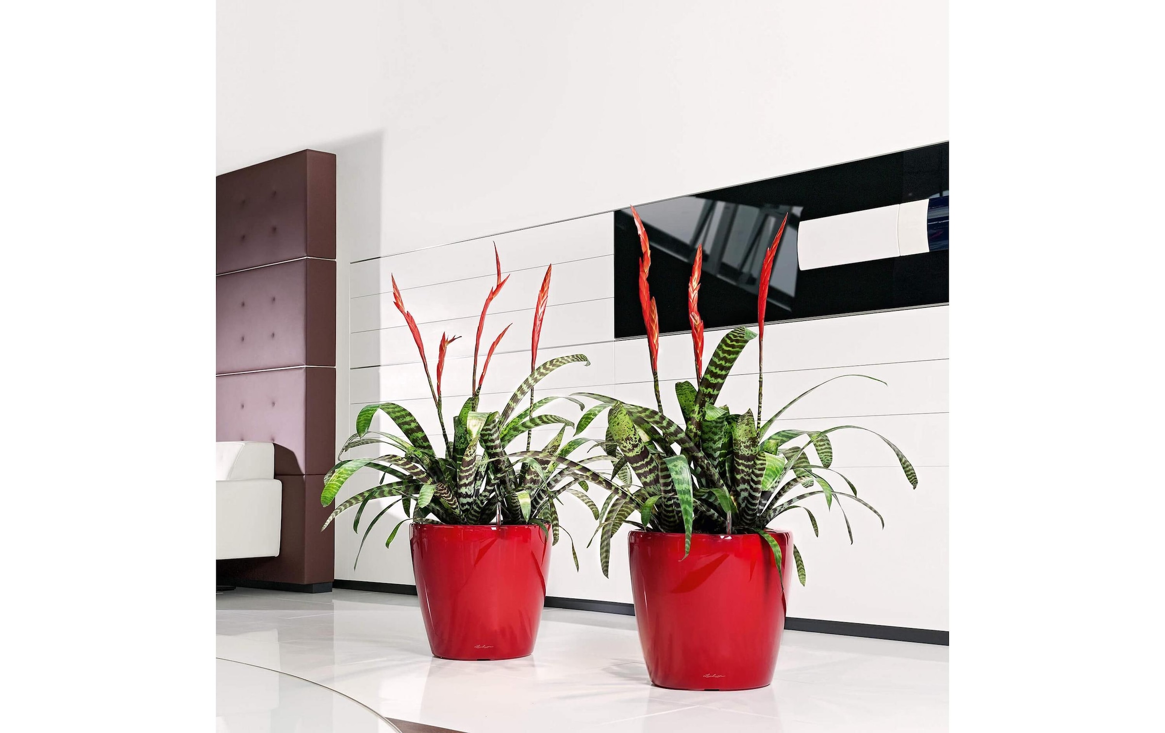   Blumentopf »Lechuza CLASSICO Premium LS 43«