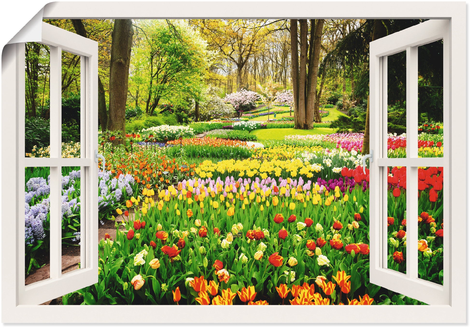 Artland Wandbild »Fensterblick Tulpen Garten oder Frühling«, Leinwandbild, Wandaufkleber in Poster versch. Grössen St.), (1 als Alubild, Fensterblick
