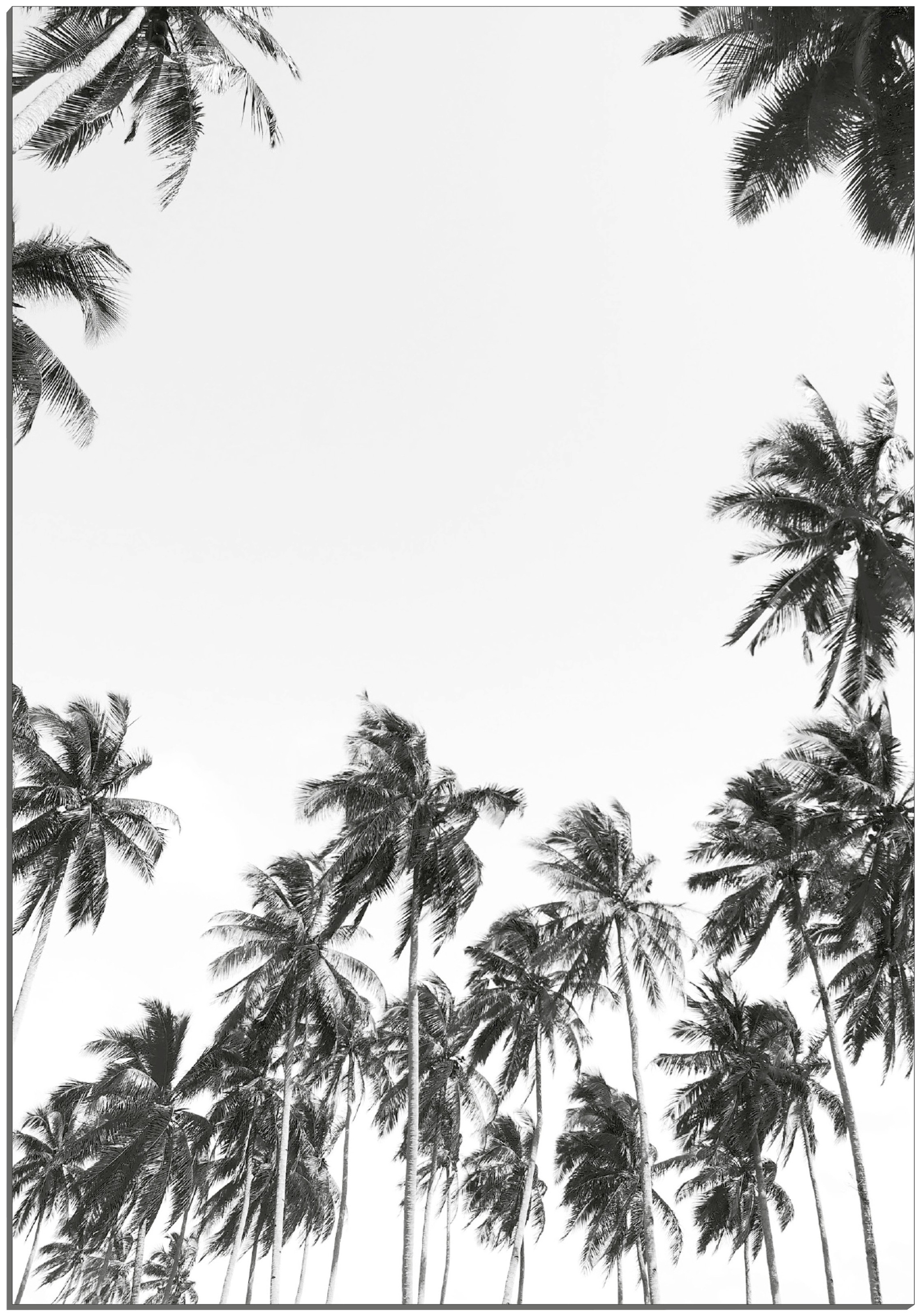 Image of MySpotti Alu-Dibond-Druck »Artfix Pilar«, inkl. 3D-Magic Befestigungsset bei Ackermann Versand Schweiz