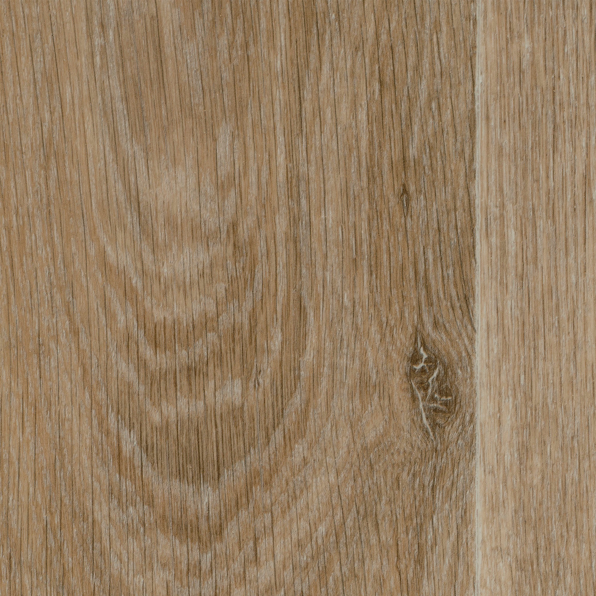 Image of Bodenmeister Vinylboden »PVC Bodenbelag Holzoptik Diele Eiche hell-braun gekalkt«, Meterware, Breite 200/300/400 cm bei Ackermann Versand Schweiz