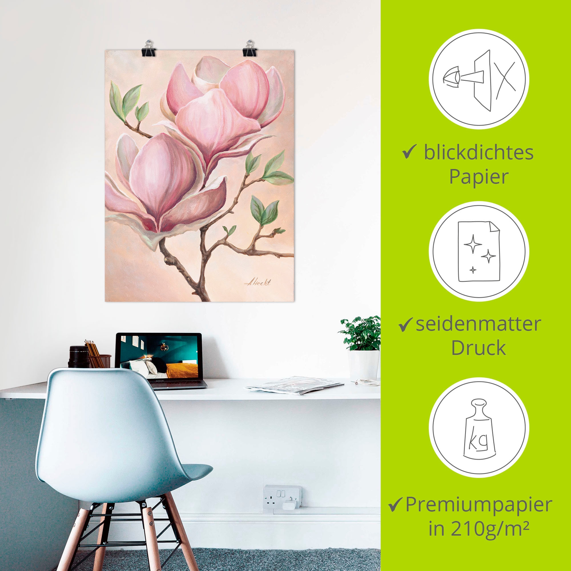 Artland Wandbild »Magnolienblüten« Blumen 1 Stk. tlg. als Leinwandbild, Poster in verschied. Grössen