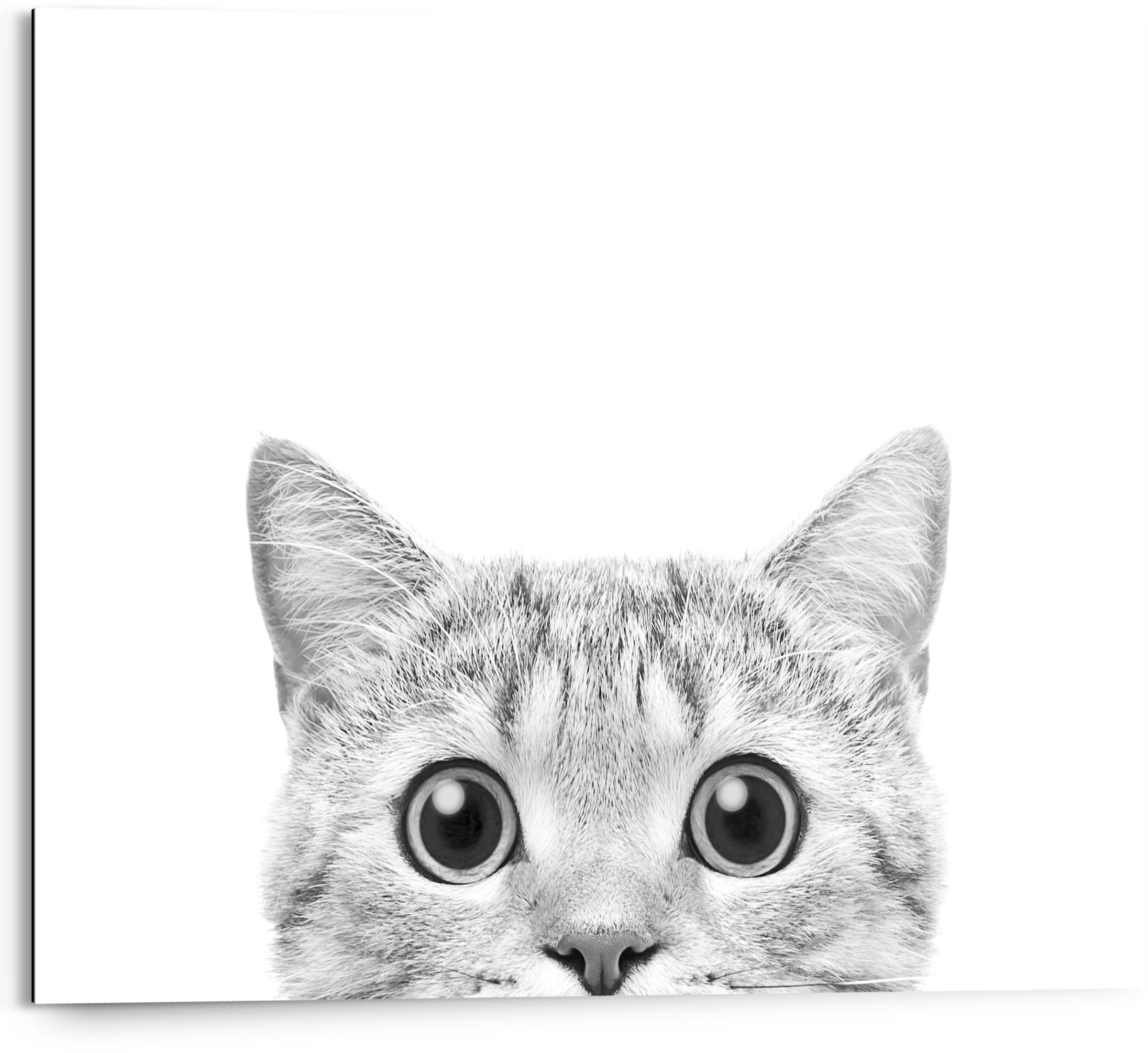 Image of Reinders! Holzbild »Cat is Watching«, (1 St.) bei Ackermann Versand Schweiz