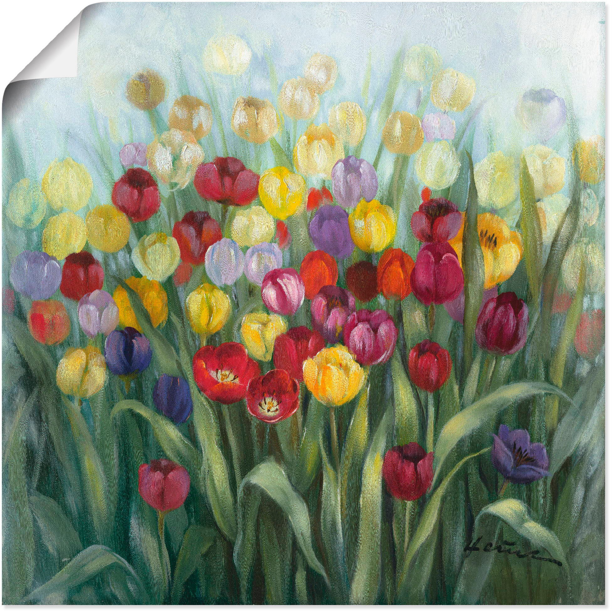 Image of Artland Wandbild »Tulpenwiese II«, Blumenwiese, (1 St.), in vielen Grössen & Produktarten - Alubild / Outdoorbild für den Aussenbereich, Leinwandbild, Poster, Wandaufkleber / Wandtattoo auch für Badezimmer geeignet bei Ackermann Versand Schweiz