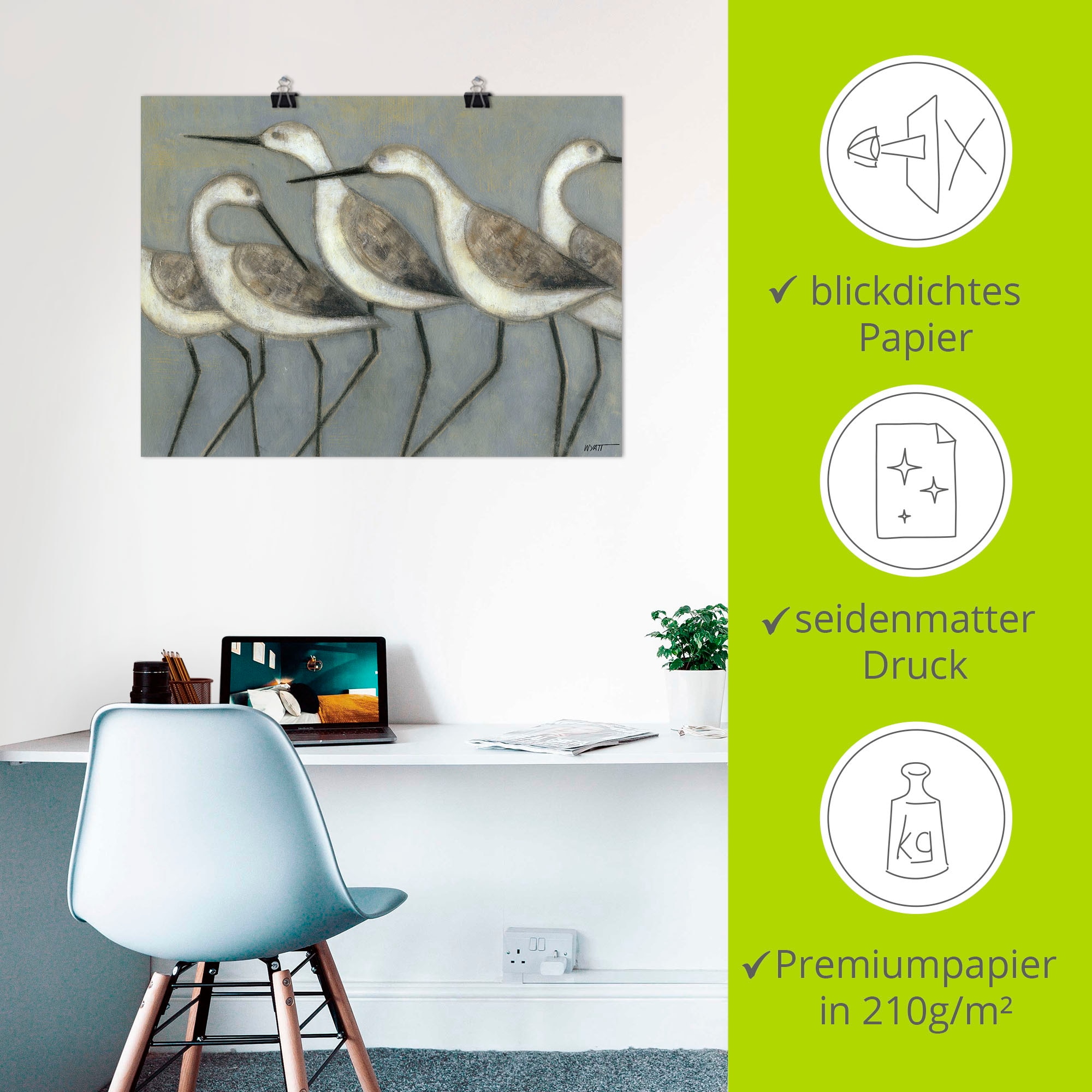 Artland Wandbild »Küstenvögel I«, Vögel, (1 St.), als Alubild, Outdoorbild, Leinwandbild, Poster in verschied. Grössen