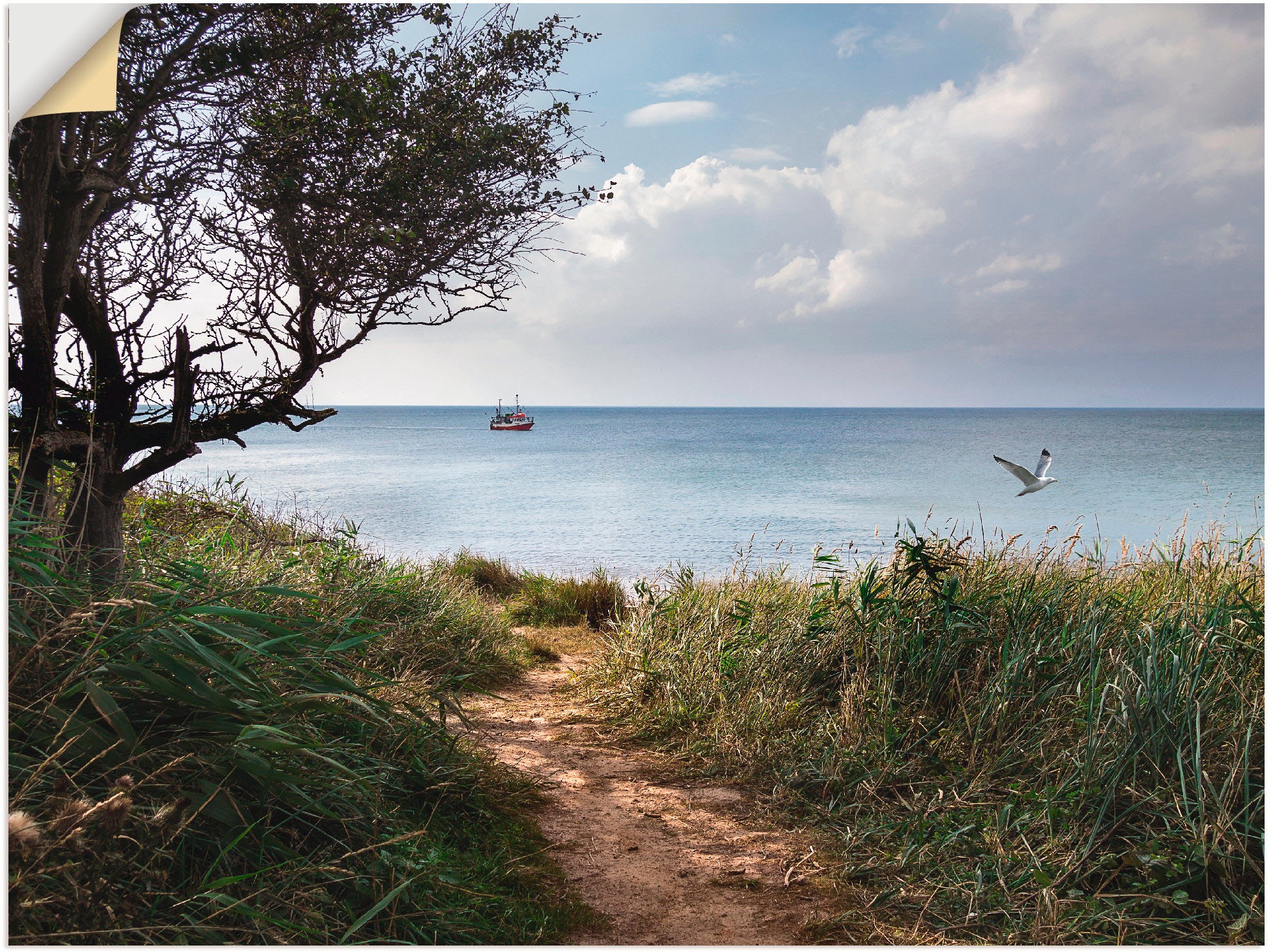 Image of Artland Wandbild »Wege zum Meer....«, Gewässer, (1 St.), in vielen Grössen & Produktarten -Leinwandbild, Poster, Wandaufkleber / Wandtattoo auch für Badezimmer geeignet bei Ackermann Versand Schweiz