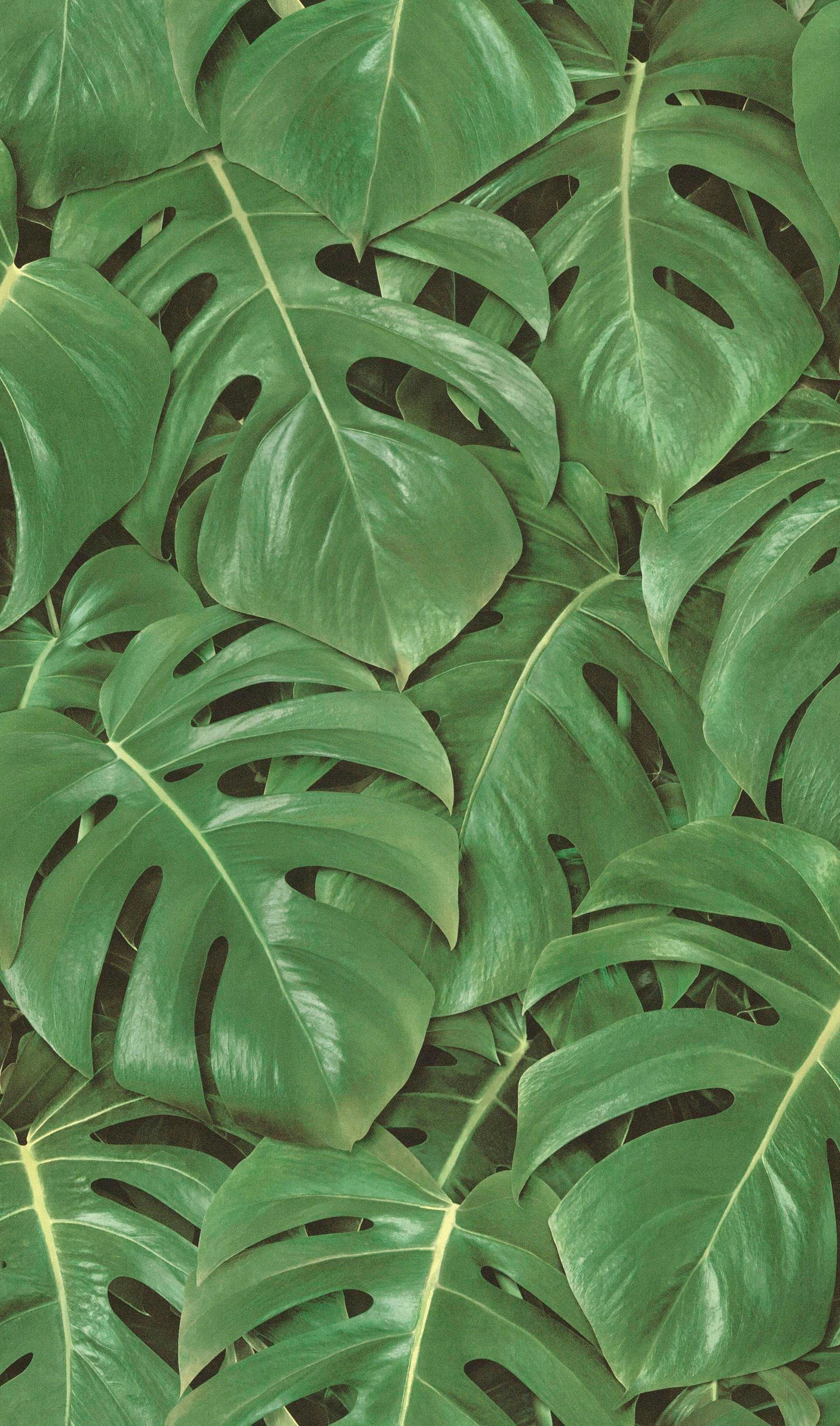 Image of freundin Home Collection Vinyltapete »Freundin II«, gemustert-natürlich bei Ackermann Versand Schweiz