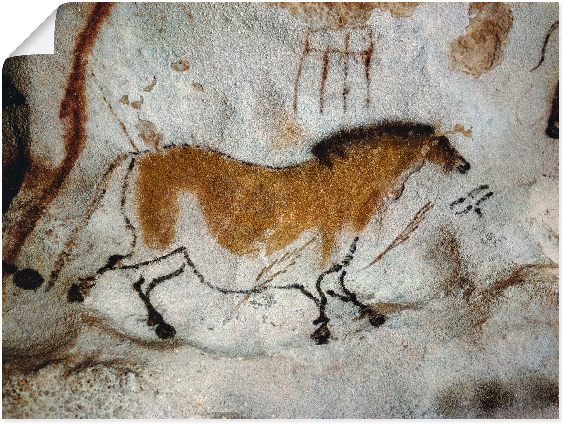 Image of Artland Wandbild »Höhle von Lascaux, Chinesisches Pferd«, Haustiere, (1 St.), in vielen Grössen & Produktarten -Leinwandbild, Poster, Wandaufkleber / Wandtattoo auch für Badezimmer geeignet bei Ackermann Versand Schweiz