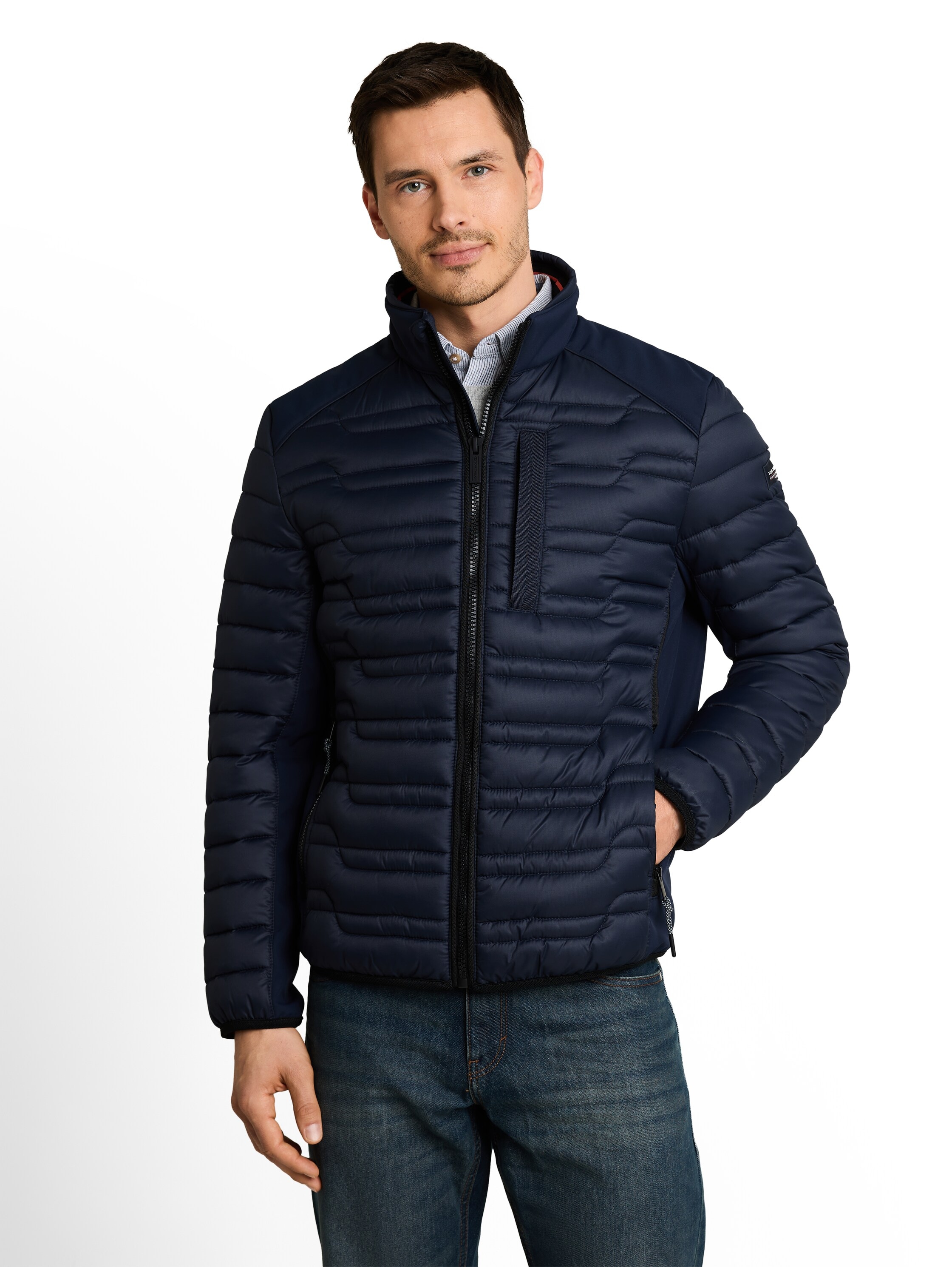 Image of TOM TAILOR Steppjacke "Regular" ohne Kapuze mit Stehkragen und Reissverschluss