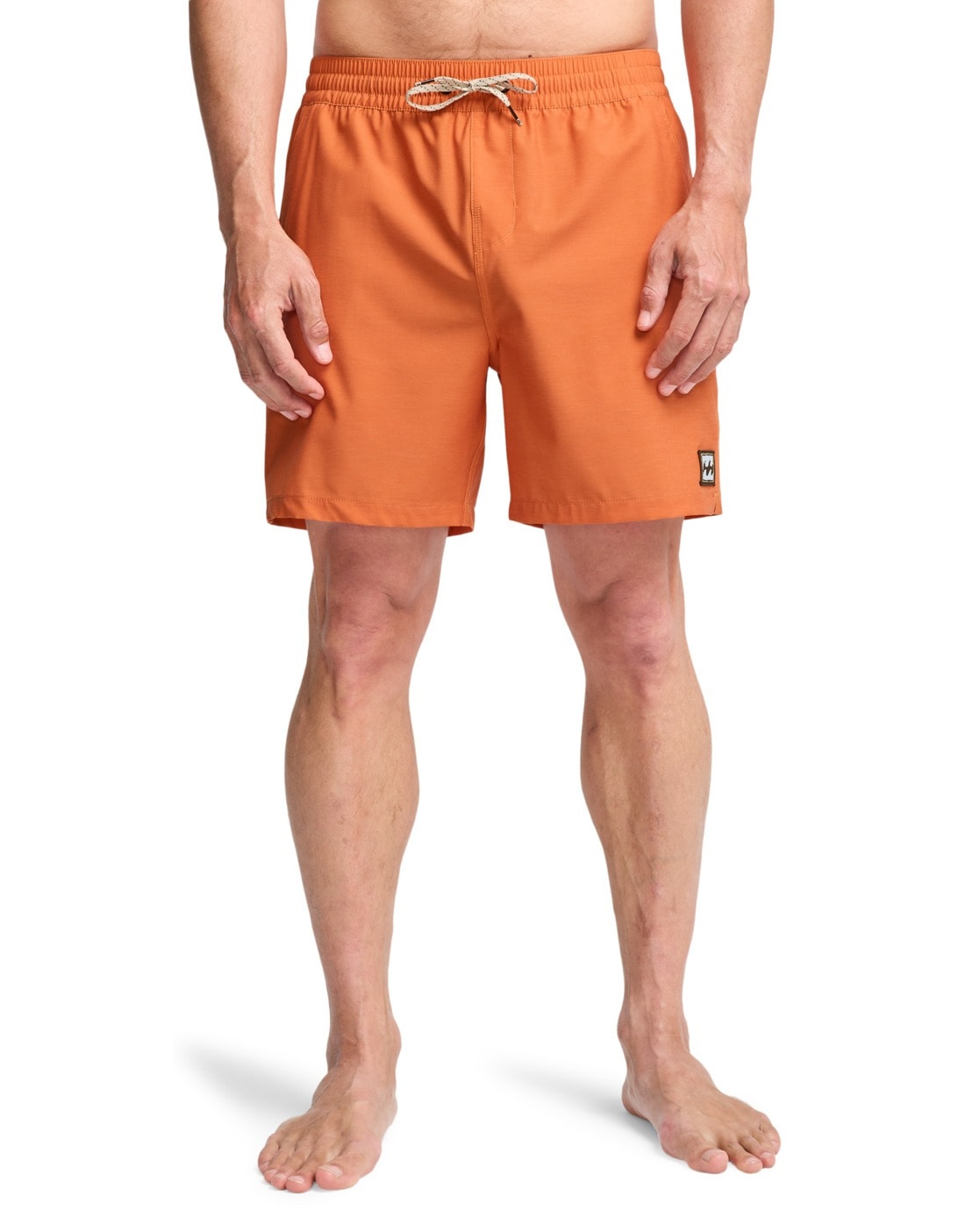 Image of Billabong Boardshorts "Every Other Day"