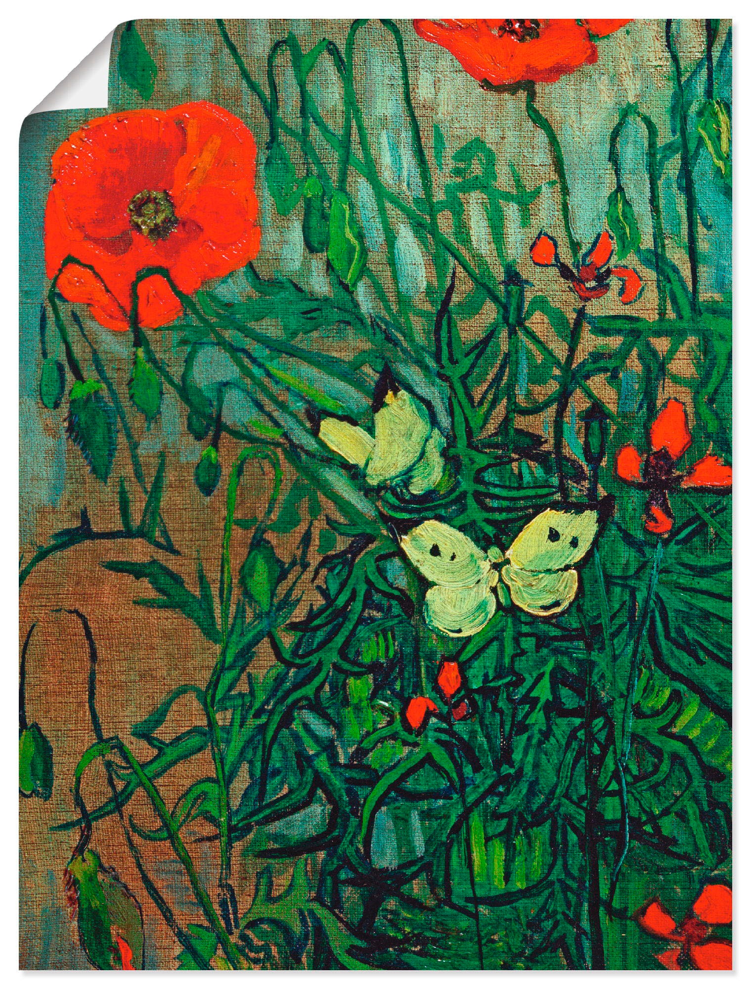 Image of Artland Wandbild »Schmetterlinge auf Mohnblüten«, Blumen, (1 St.), in vielen Grössen & Produktarten -Leinwandbild, Poster, Wandaufkleber / Wandtattoo auch für Badezimmer geeignet bei Ackermann Versand Schweiz