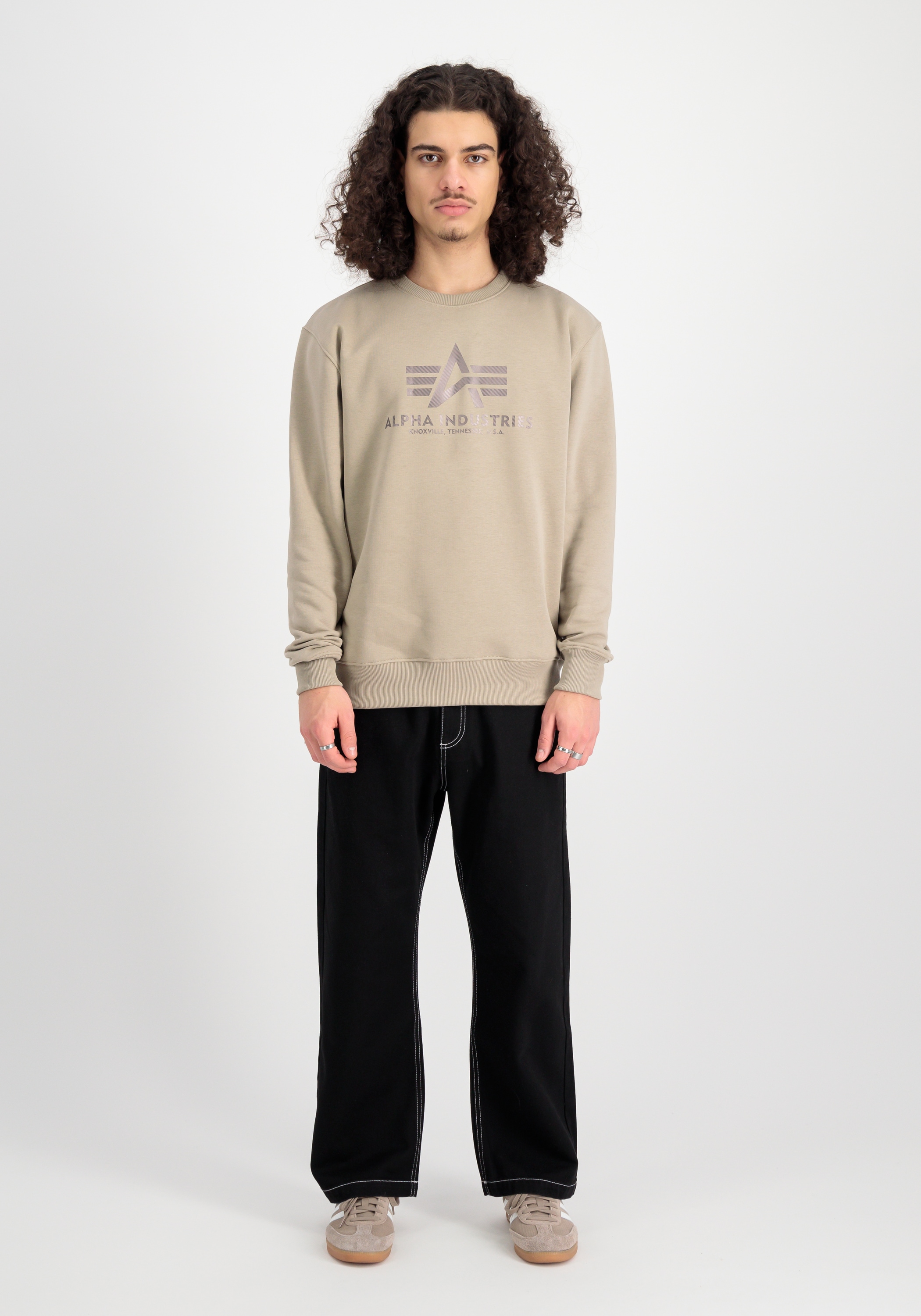 Alpha Industries Sweater »Basic Sweatshirt Carbon«