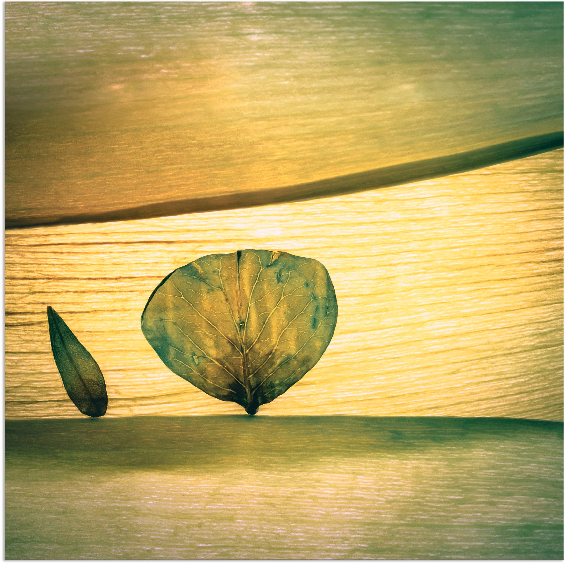 Image of Artland Wandbild »Frühling?«, Blätter, (1 St.), in vielen Grössen & Produktarten - Alubild / Outdoorbild für den Aussenbereich, Leinwandbild, Poster, Wandaufkleber / Wandtattoo auch für Badezimmer geeignet bei Ackermann Versand Schweiz