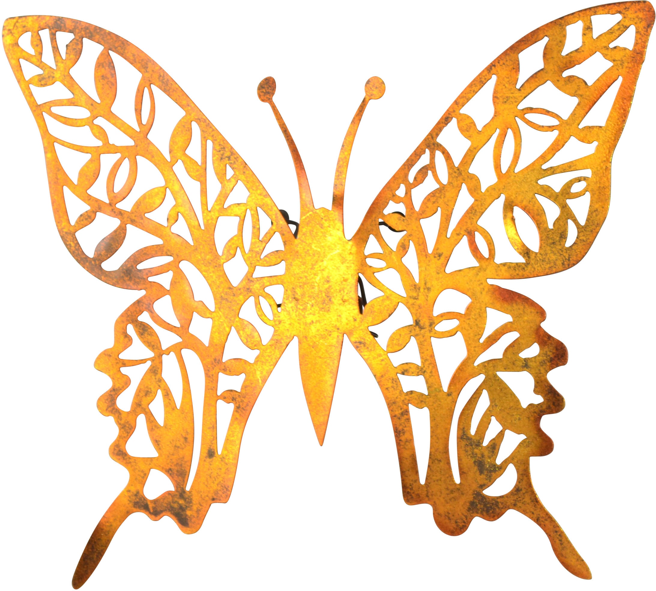 Image of pajoma Wanddekoobjekt "Wanddekoration" Grosser Schmetterling in gold