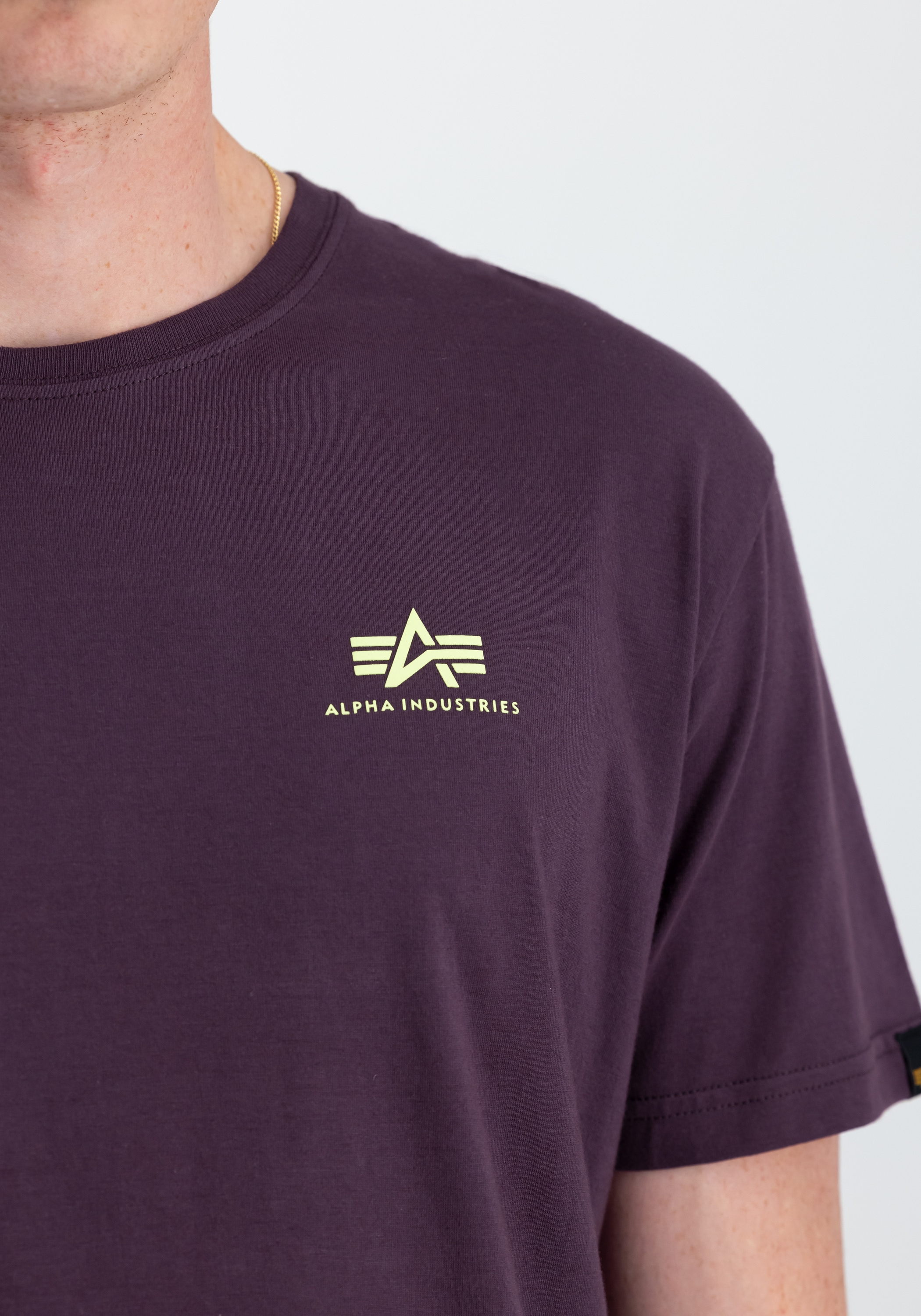 Alpha Industries T-Shirt »Backprint T-Shirt«