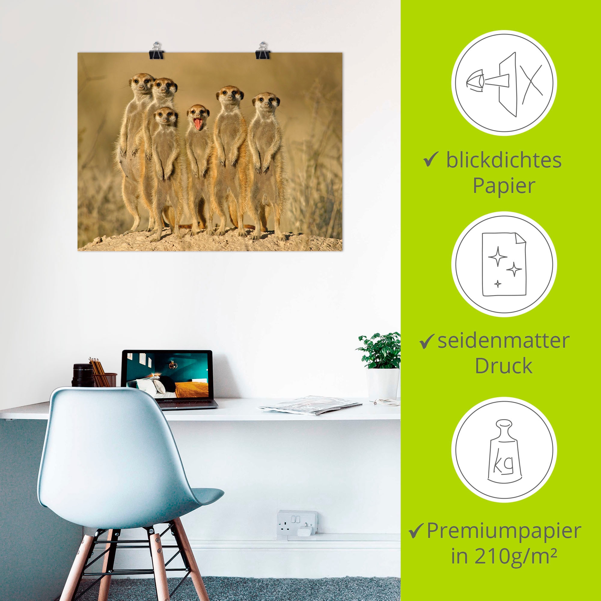 Artland Wandbild »Erdmännchen Familie«, Wildtiere, (1 St.), als Alubild, Outdoorbild, Leinwandbild, Poster, Wandaufkleber