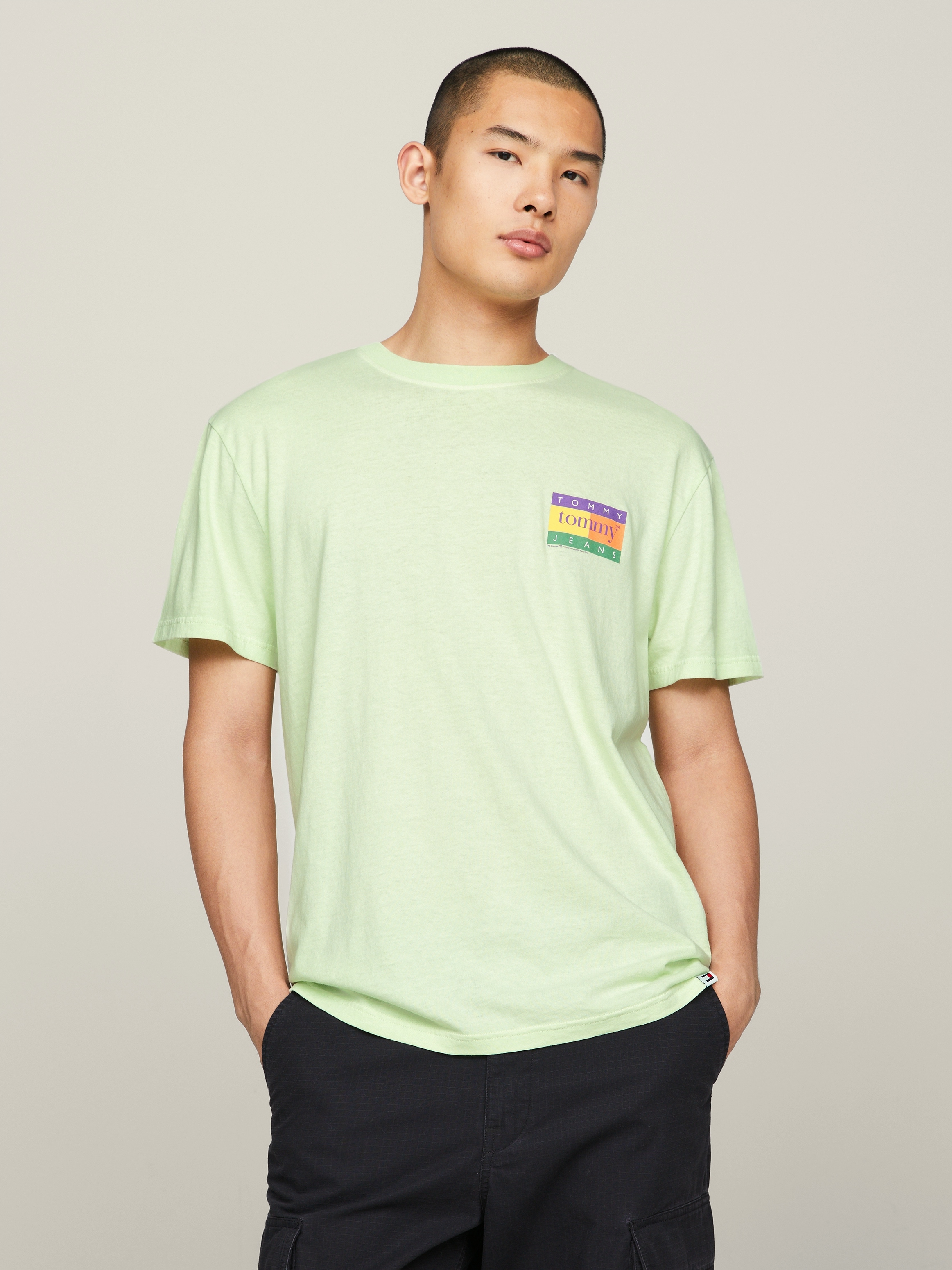 T-Shirt »TJM REG SUMMER FLAG TEE EXT«, Mehrfarbiger Rückenprint