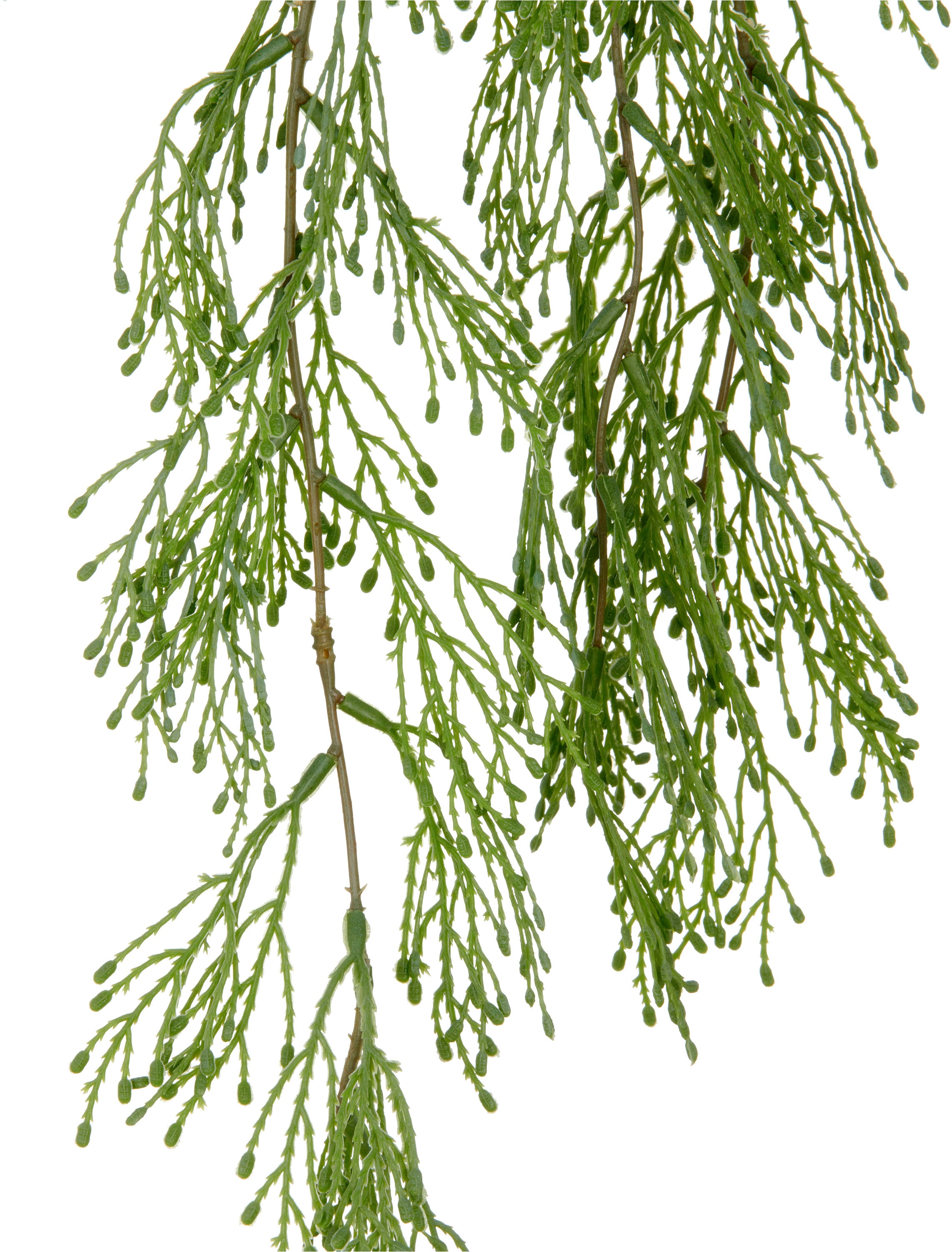 Creativ green Kunstranke »Juniperus« mit üppigen Ranken