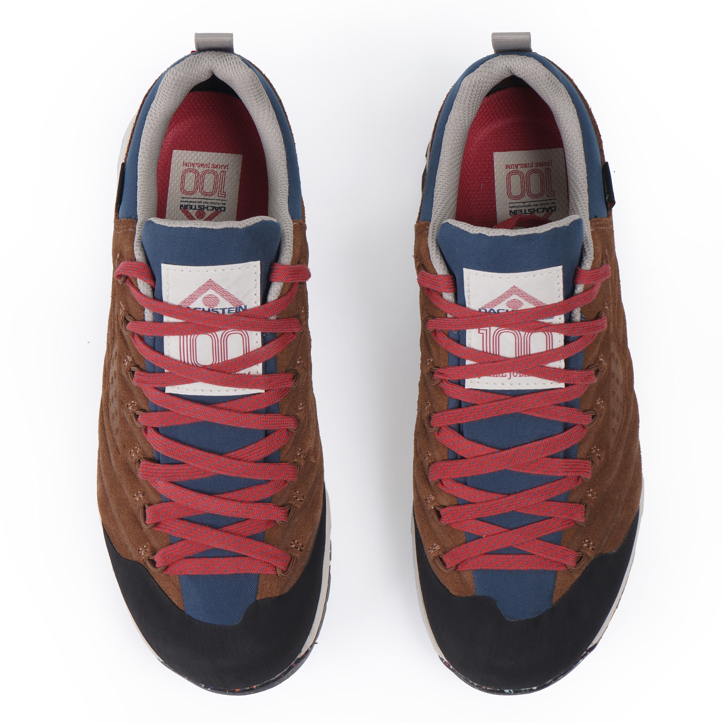 Dachstein Wanderschuh »SF-21 GTX 1925 WMN«, wasserdicht