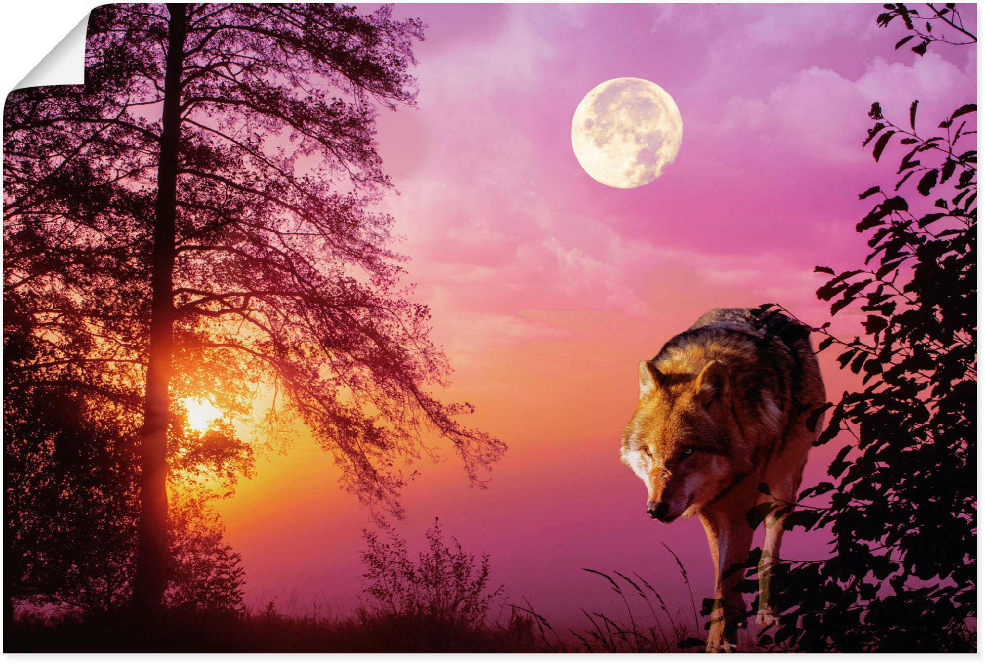 in (1 St.), als oder Artland Wandbild Wandaufkleber »Wolf Grössen kaufen Alubild, versch. Vollmond«, Leinwandbild, Wolfbilder, im Poster