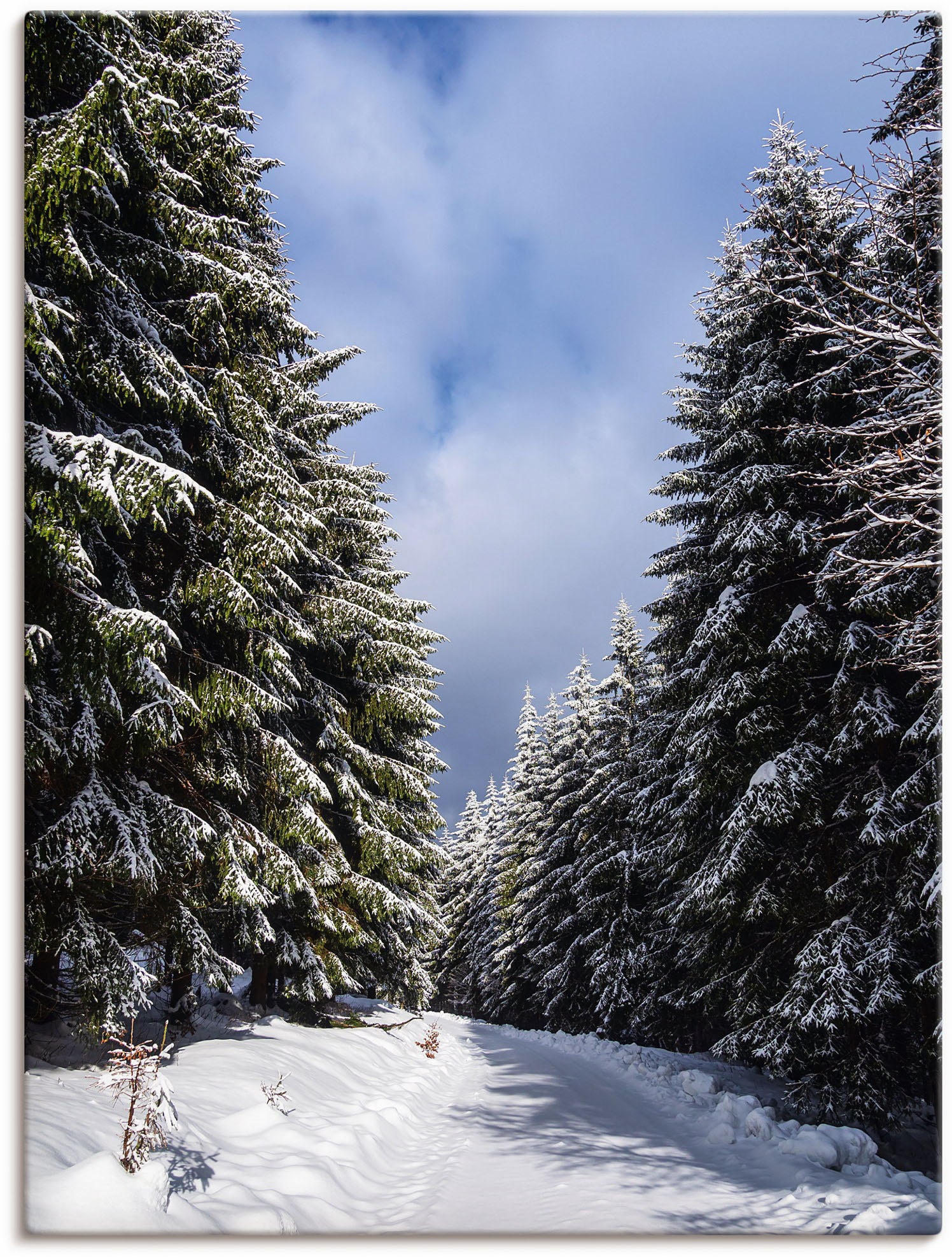 Image of Artland Wandbild »Winter im Thüringer Wald in Schmiedefeld«, Vier Jahreszeiten Bilder, (1 St.), in vielen Grössen & Produktarten,- Alubild, Leinwandbild, Poster, Wandaufkleber bei Ackermann Versand Schweiz
