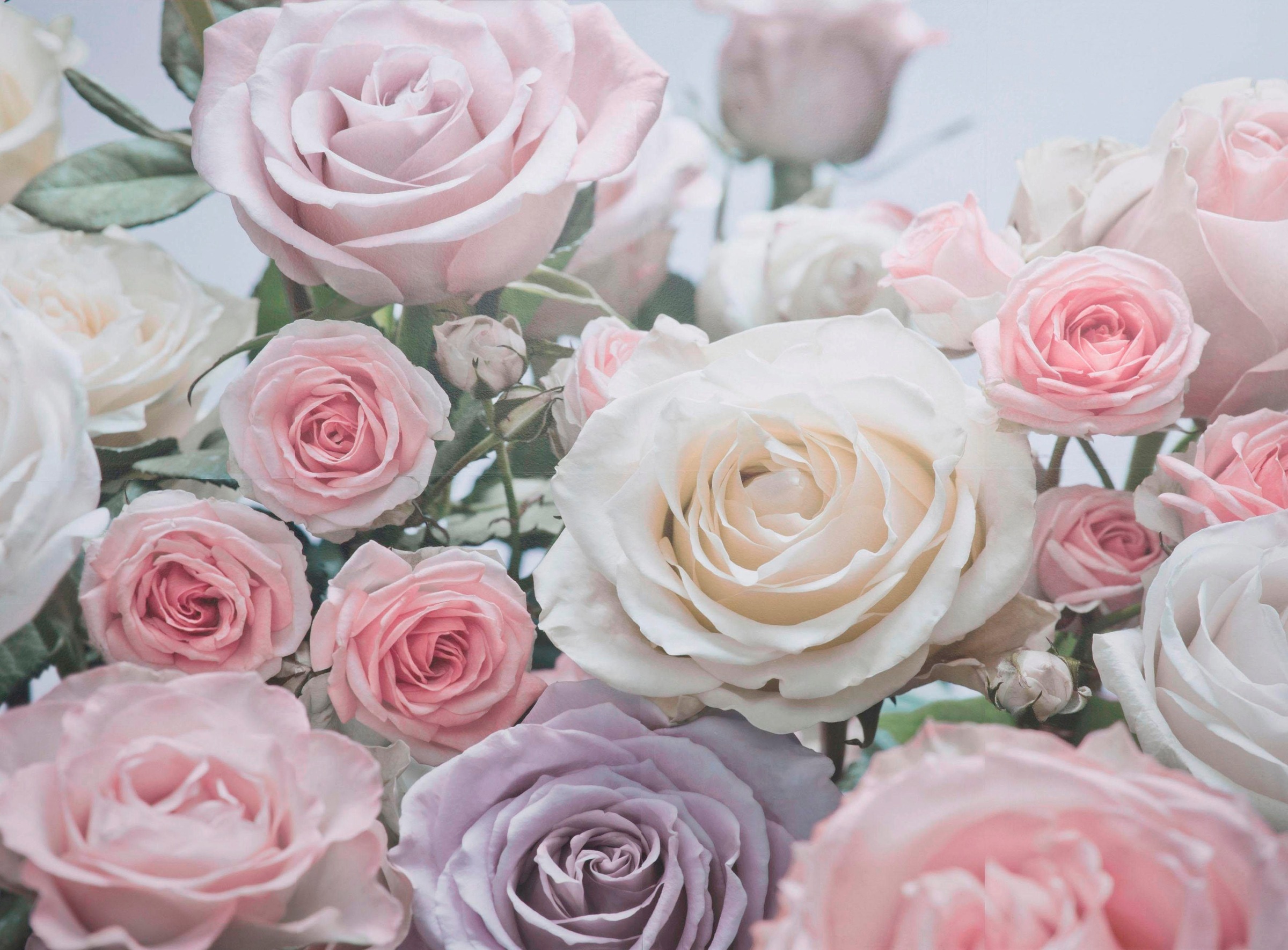 Image of Komar Fototapete »Floraison«, bedruckt-Wald-geblümt, ausgezeichnet lichtbeständig bei Ackermann Versand Schweiz
