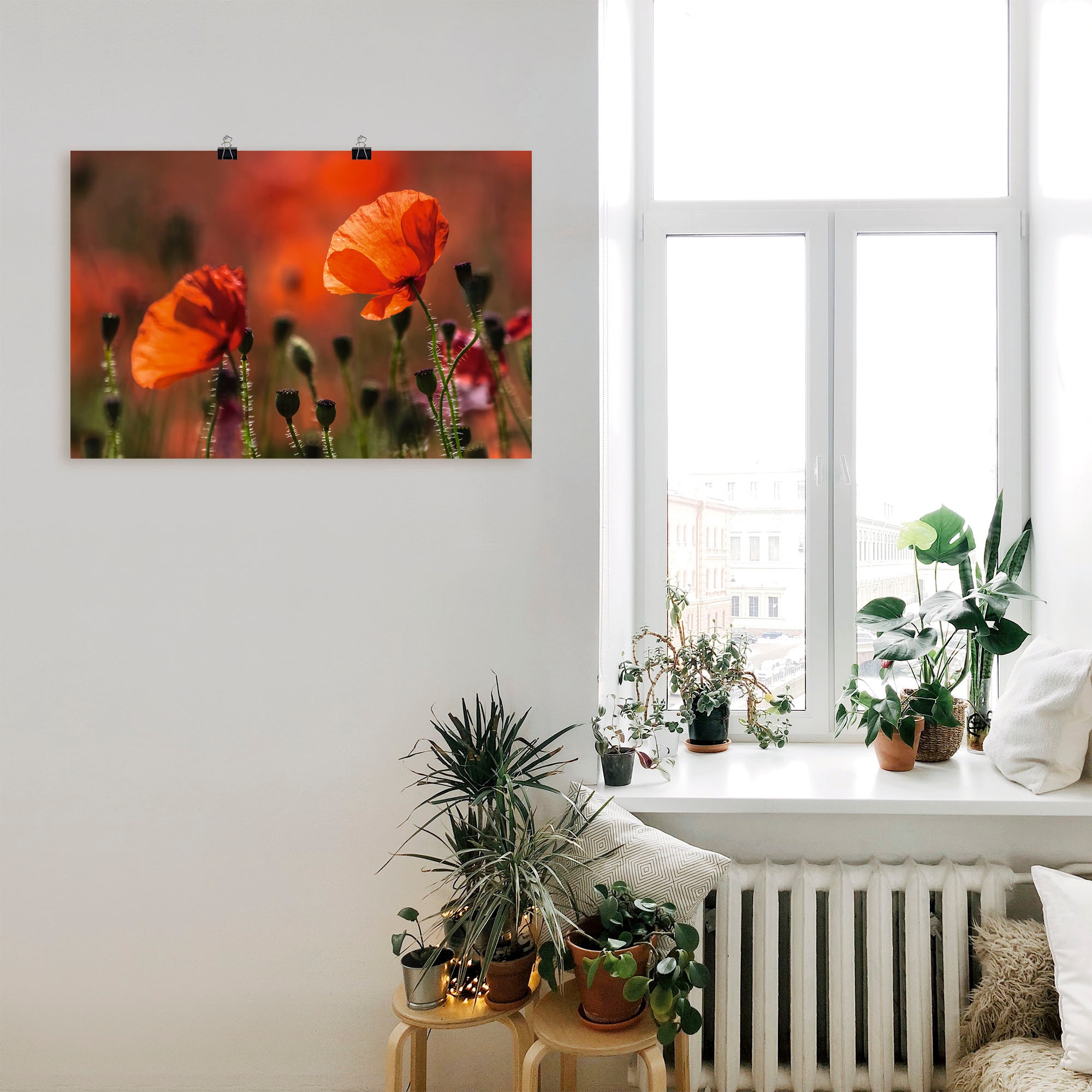 Artland Wandbild Grössen Blumenbilder, (1 kaufen der oder versch. Provence«, »Rote Poster als Mohnblumen Leinwandbild, Alubild, in in günstig Wandaufkleber St.)