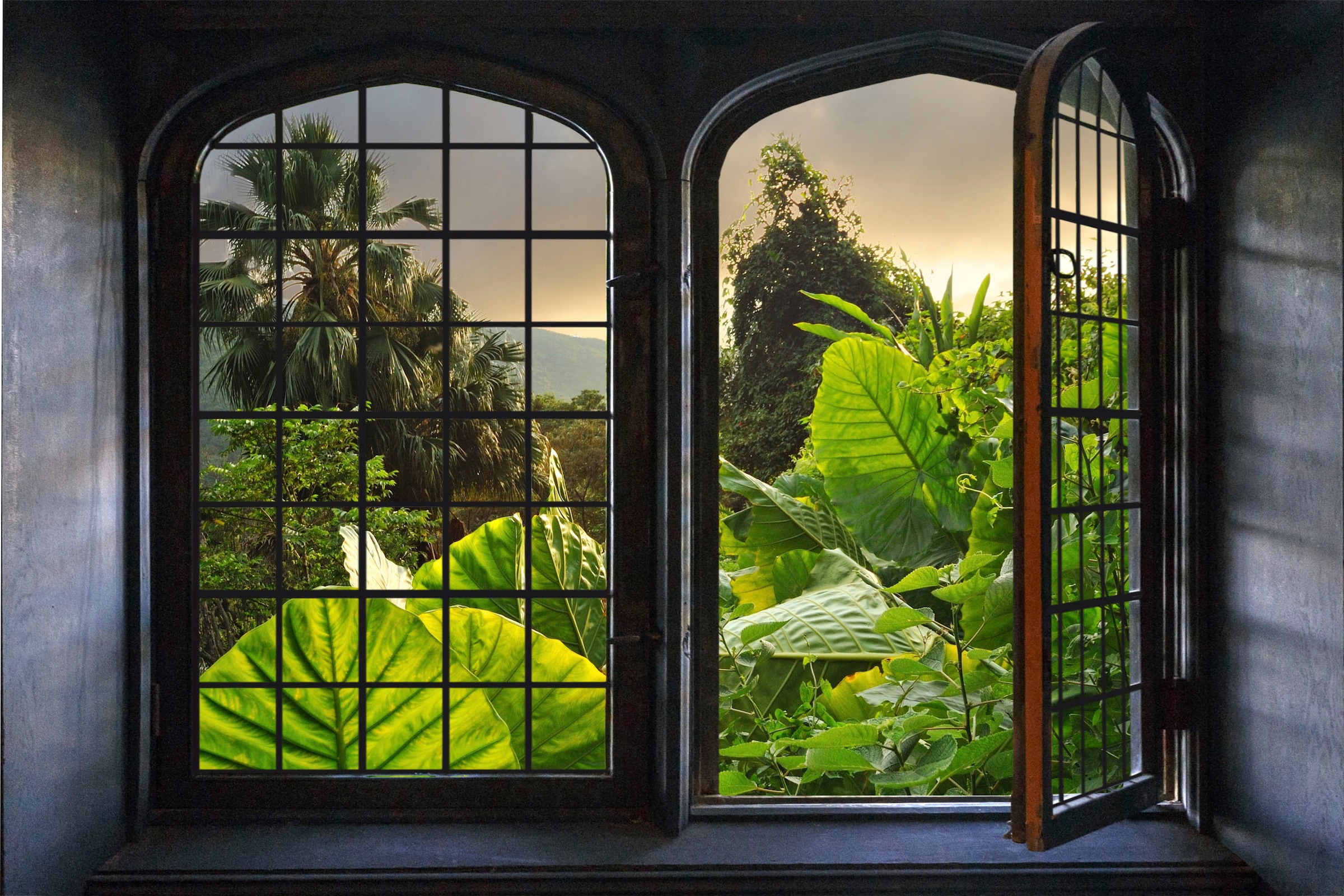 queence Wandsticker »Urwald« Wandsticker, Wandbild, selbstklebend, 3D, Fenster