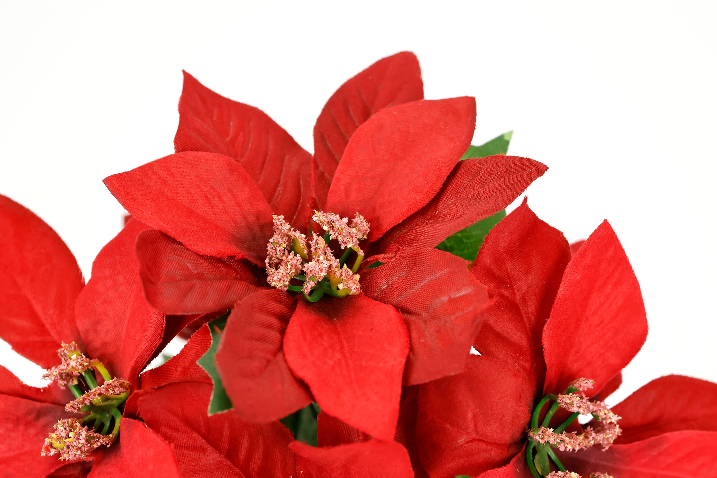 I.GE.A. Kunstblume »Poinsettia im Topf« 2er Set Künstliche Blume Weihnachtsstern Christstern Weihnachtsdeko