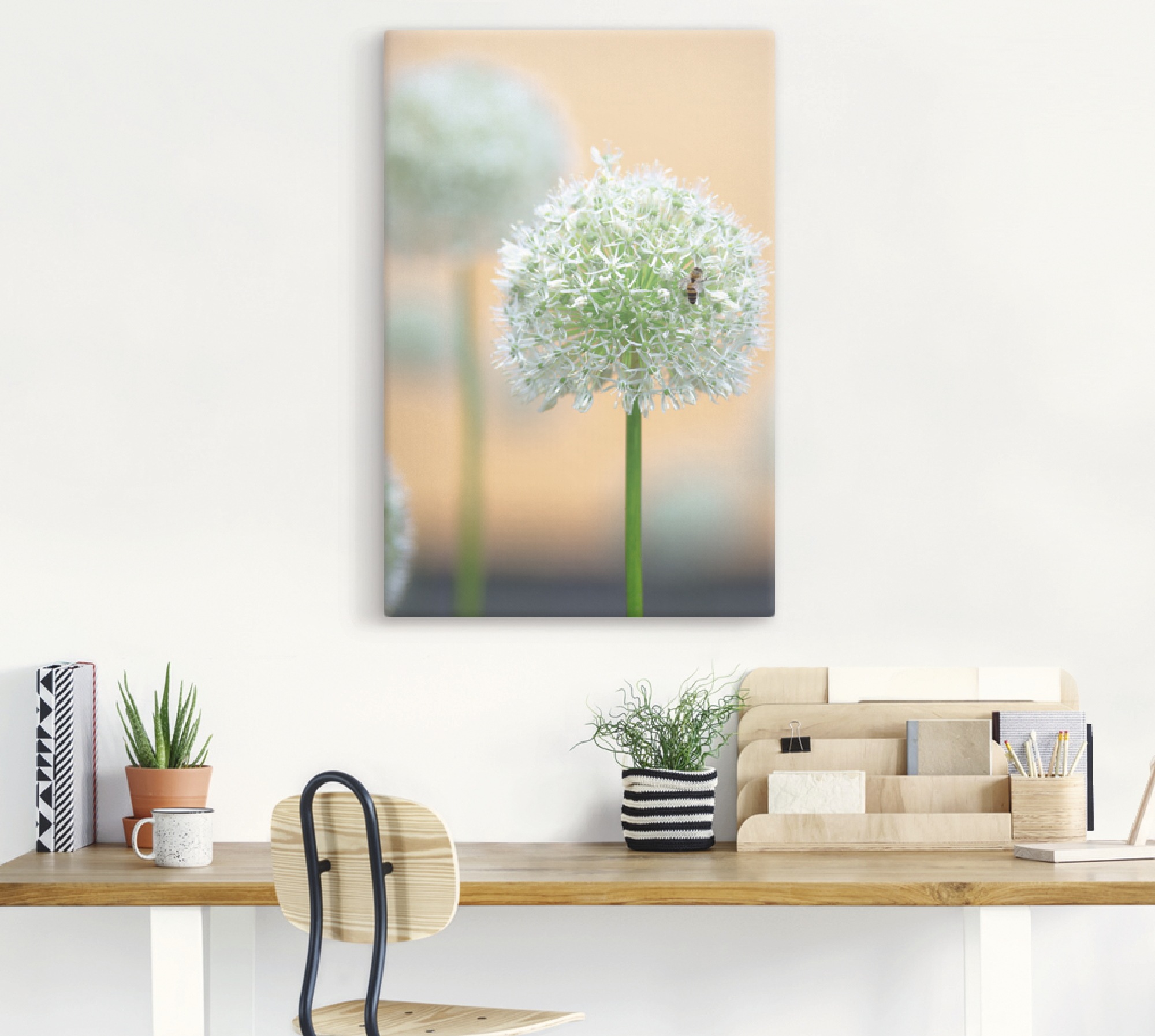 Artland Leinwandbild »Grosser Allium in Pastell« Blumen 1 Stk. tlg. auf Holzrahmen gespannt
