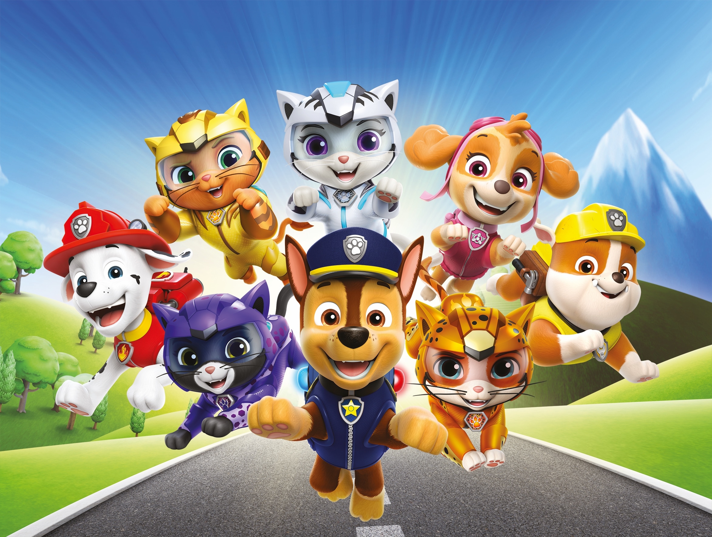 Image of Bönninghoff Leinwandbild "Wandbild CAT PACK PAW PATROL 46x61 cm – Leinwandbild Keilrahmen Deko" Hunde Katzen Paw Patrol Serien Tiere 1 Stk. tlg. auf Keilrahmen gespannt