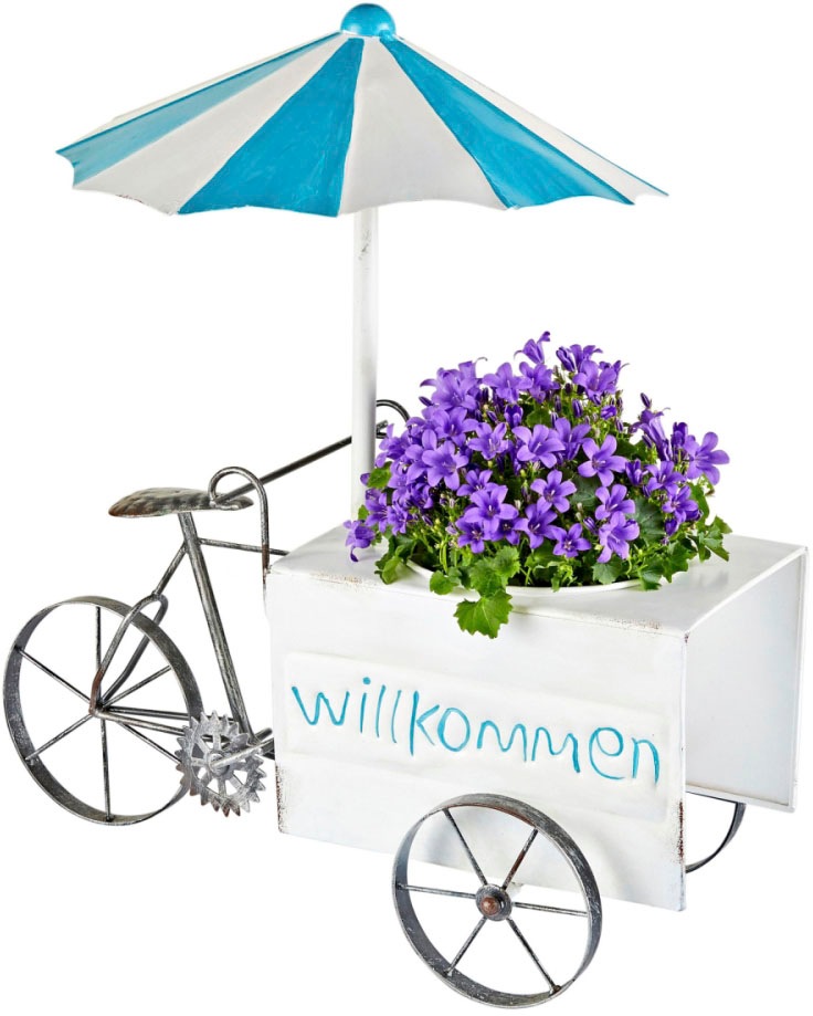 Image of Schneider Übertopf »Eiscreme-Wagen«, (1 St.) bei Ackermann Versand Schweiz