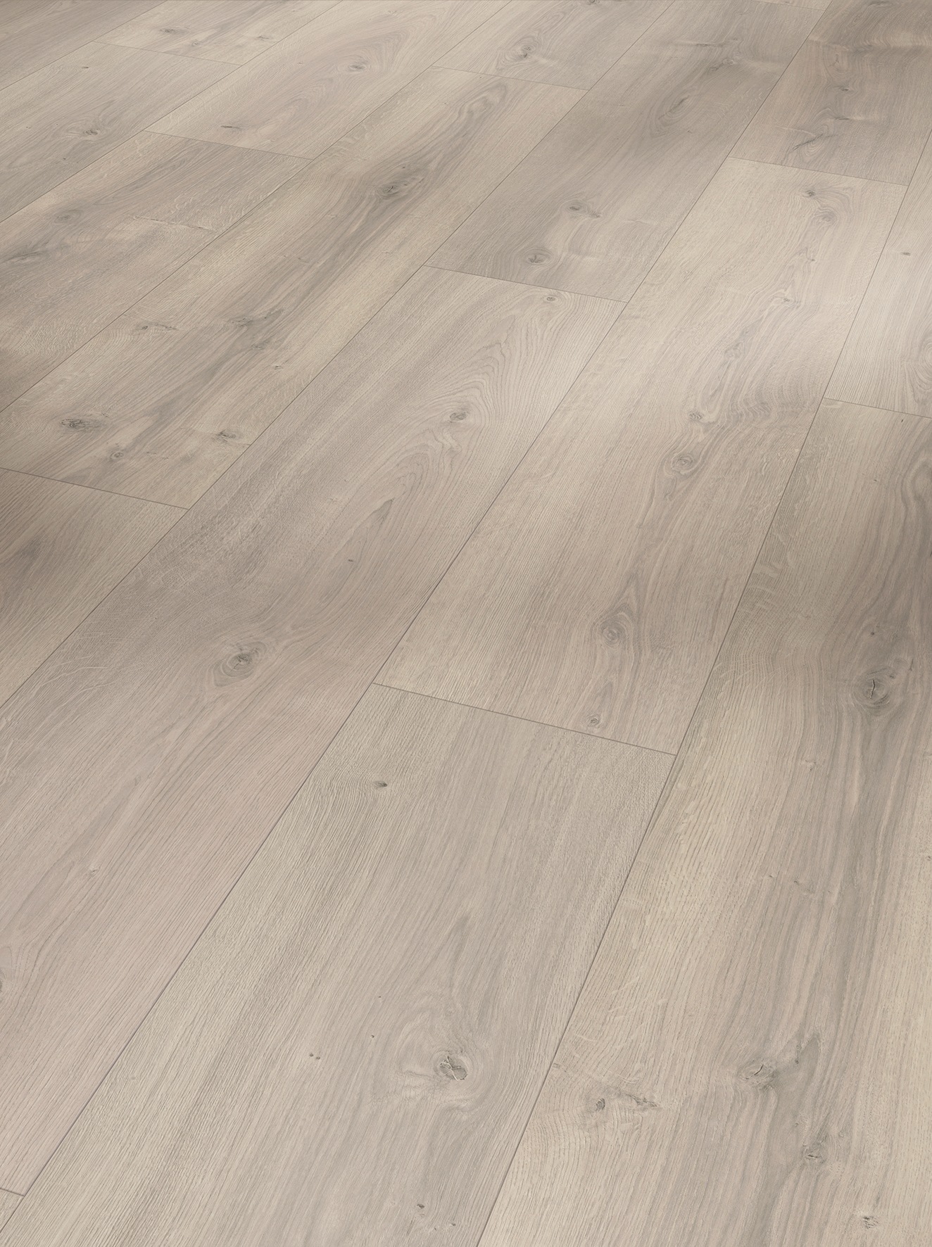 Image of PARADOR Laminat »Basic 600 breite Landhausdiele Eiche Mistral grau«, (Set), Naturstruktur, Verlegefläche: 2,19 m², matt, für Fussbodenheizung geeignet bei Ackermann Versand Schweiz