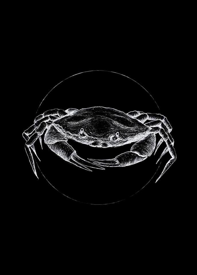 Image of Komar Poster »Crab Black«, Tiere, Höhe: 70cm bei Ackermann Versand Schweiz