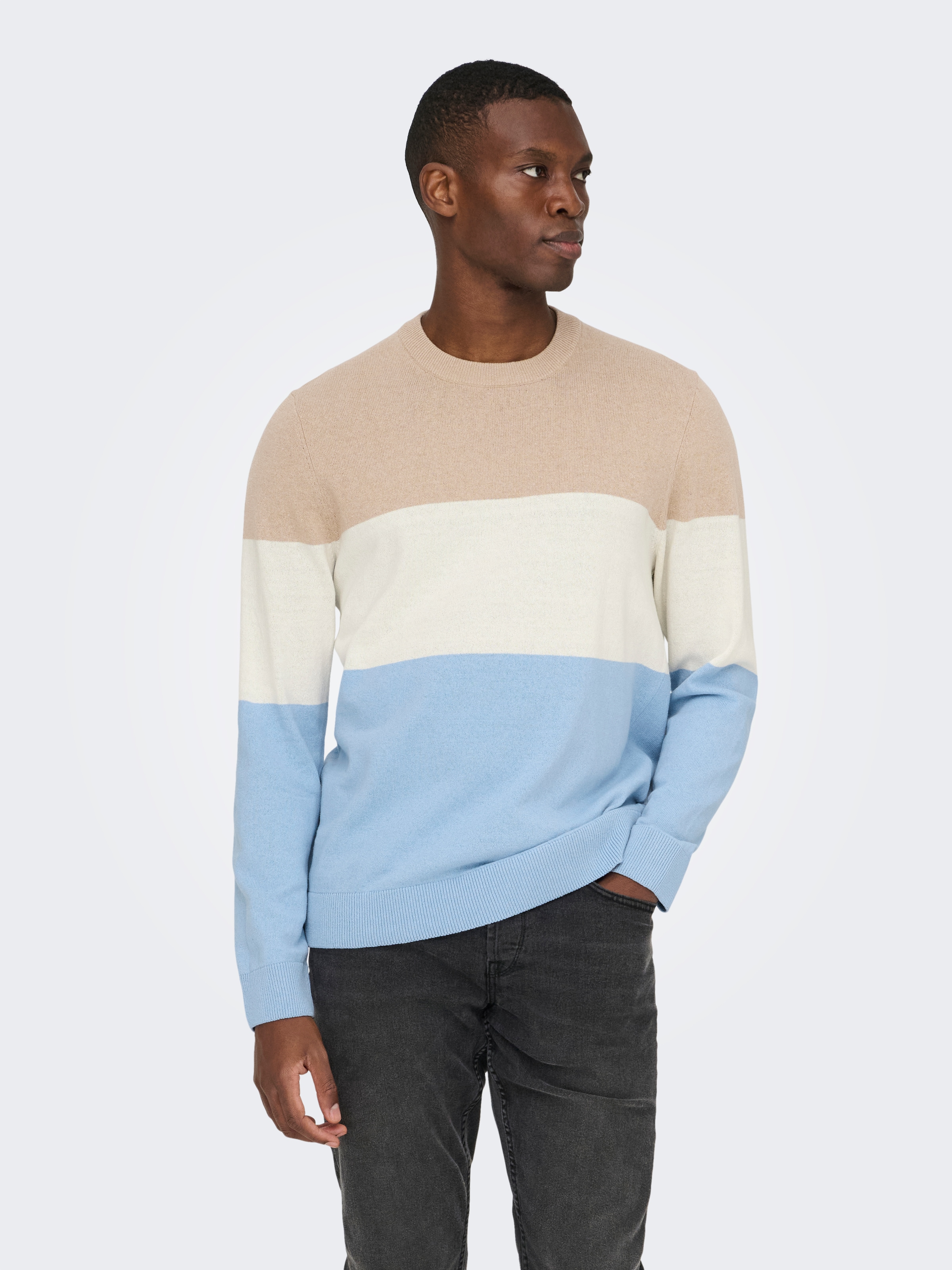 ONLY & SONS Pull à col rond »ONSREX LIFE REG 12 CREW KNIT«