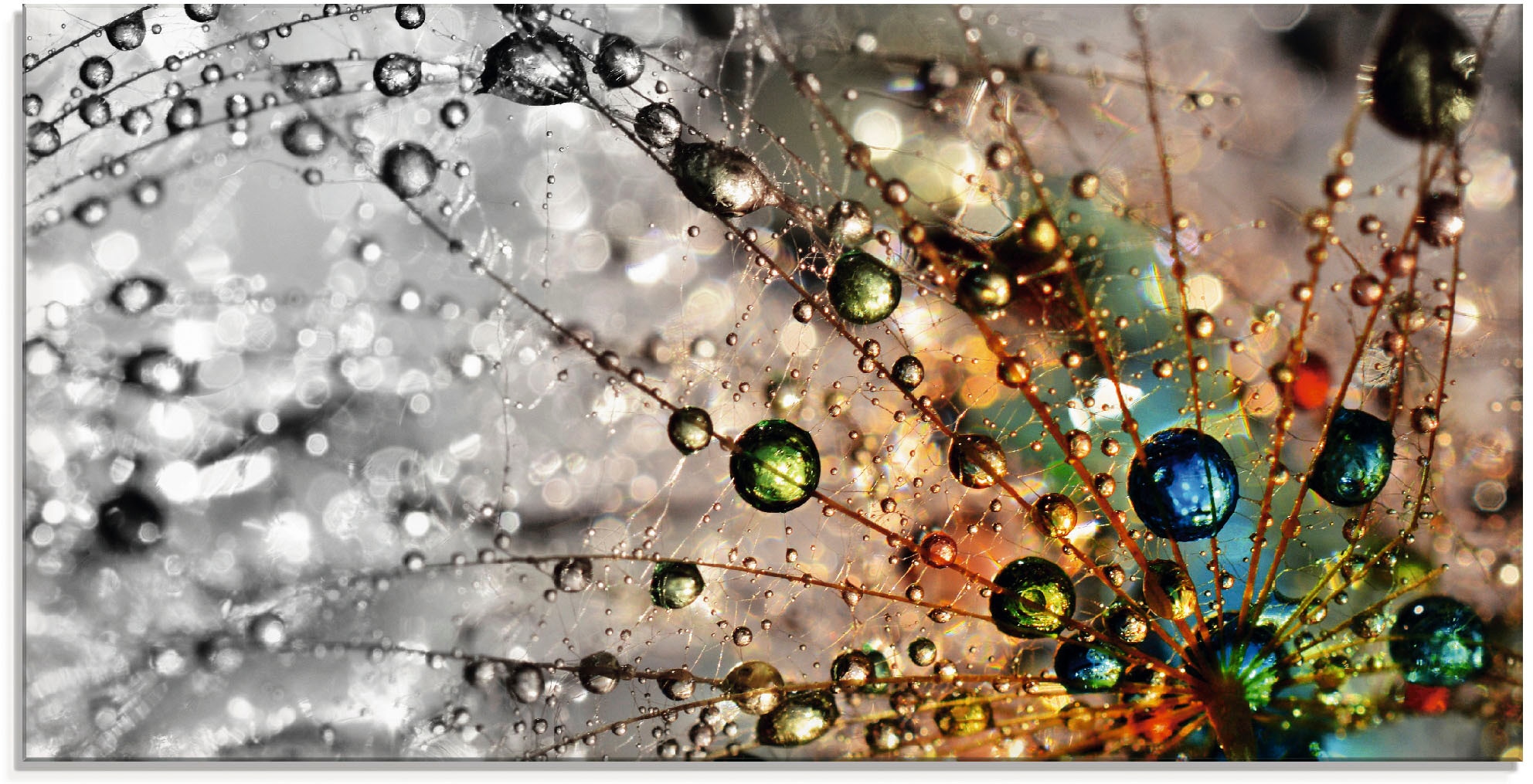 Artland Glasbild »Farbenfrohe Natur«, Blumen, (1 St.), in verschiedenen Grössen