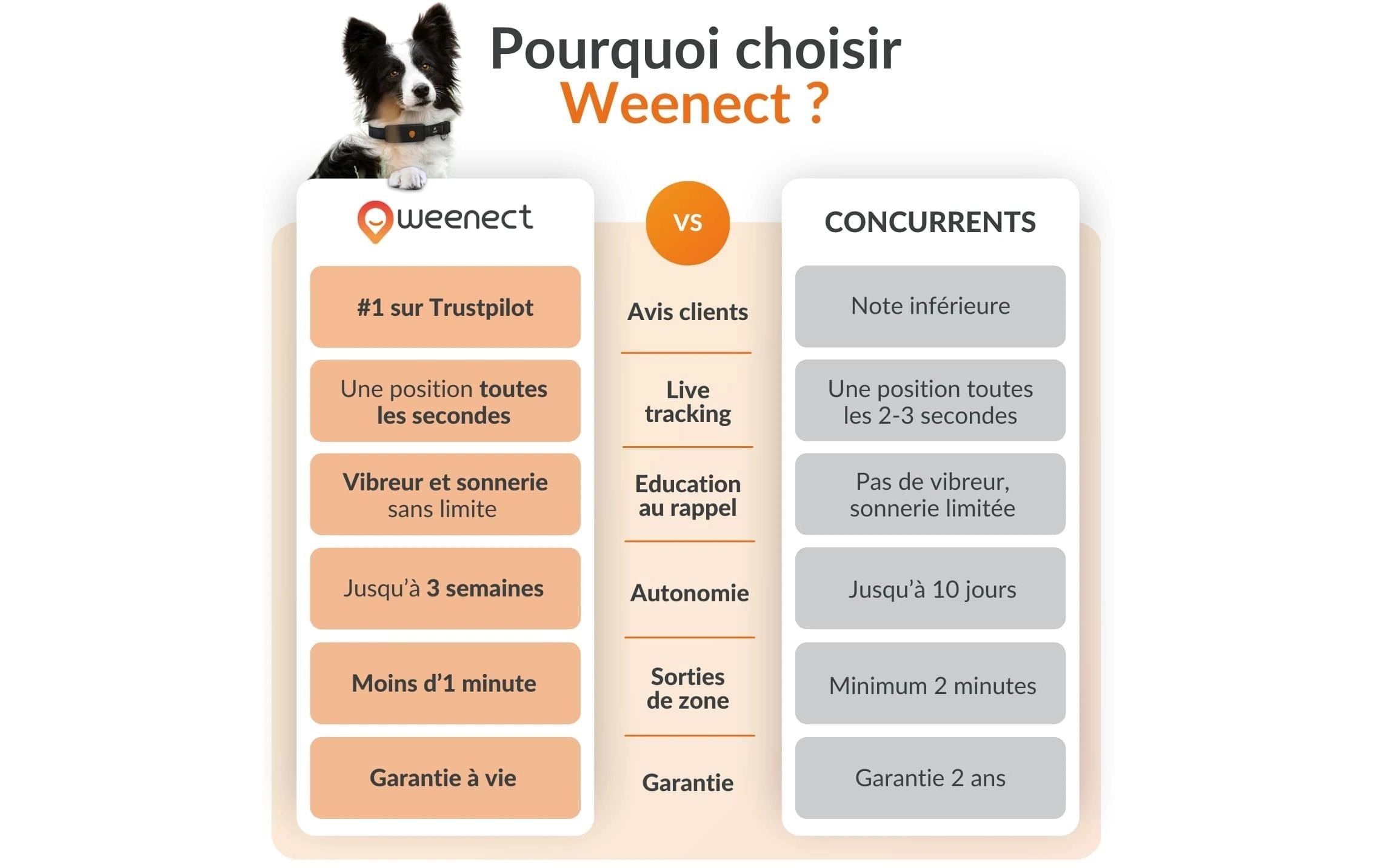   traceur GPS pour chiens »Weenect für Hunde XT mit Halsband«