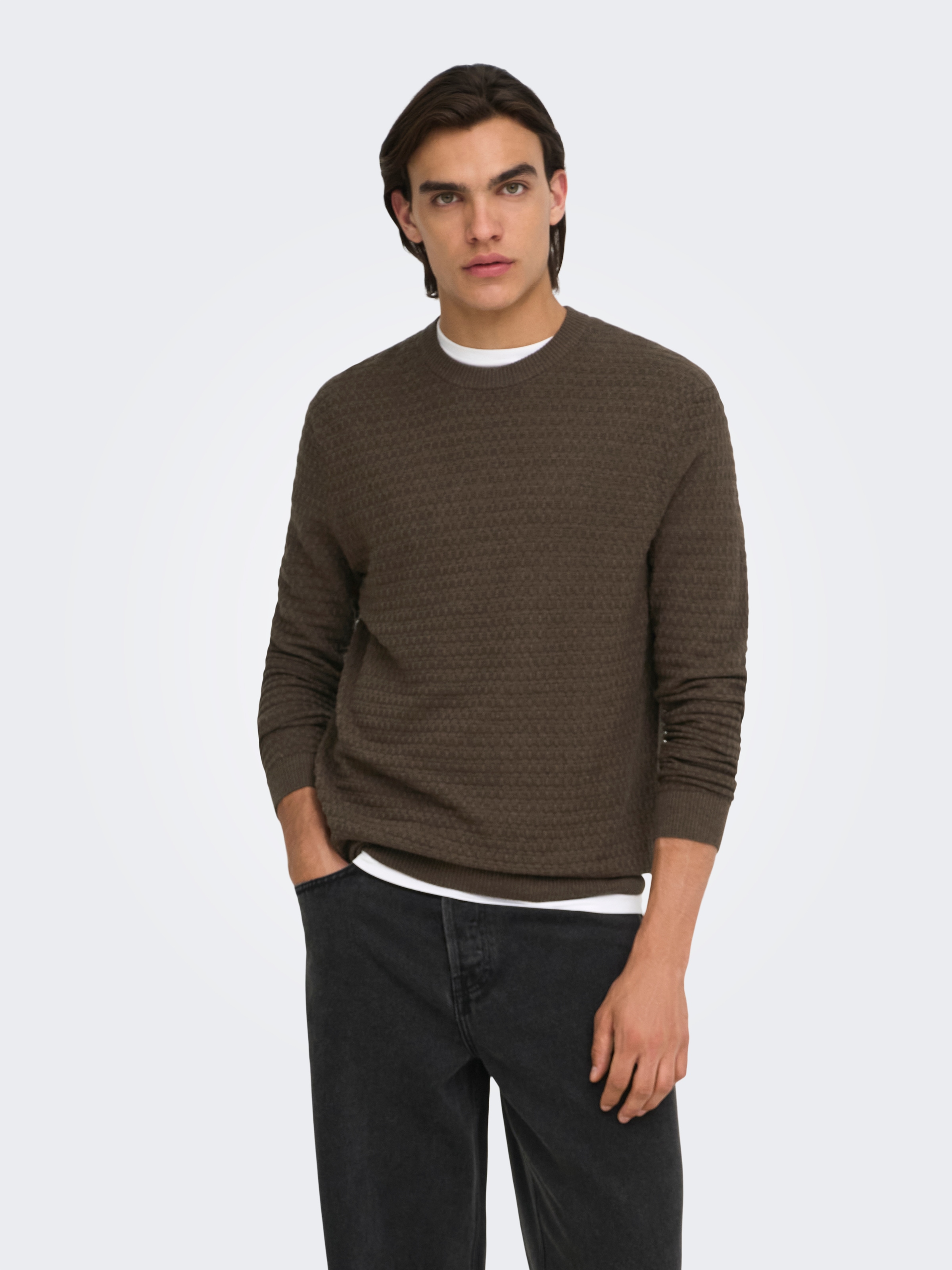 ONLY & SONS Pull à col rond »ONSLOUI LS STRUCTURE CREW REG NOOS« mélange coton, coupe régulière