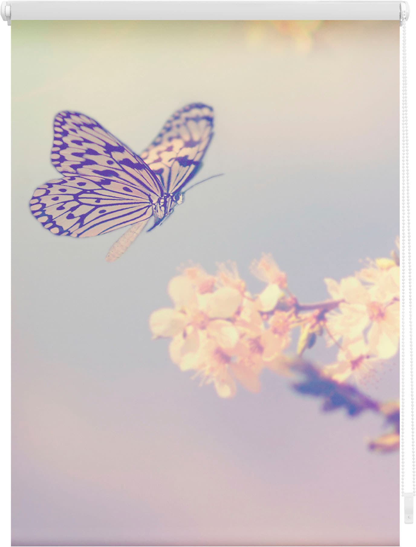 Lichtschutz, kaufen günstig bedruckt »Klemmfix Schmetterling«, Motiv ohne freihängend, ORIGINAL Bohren, Seitenzugrollo LICHTBLICK