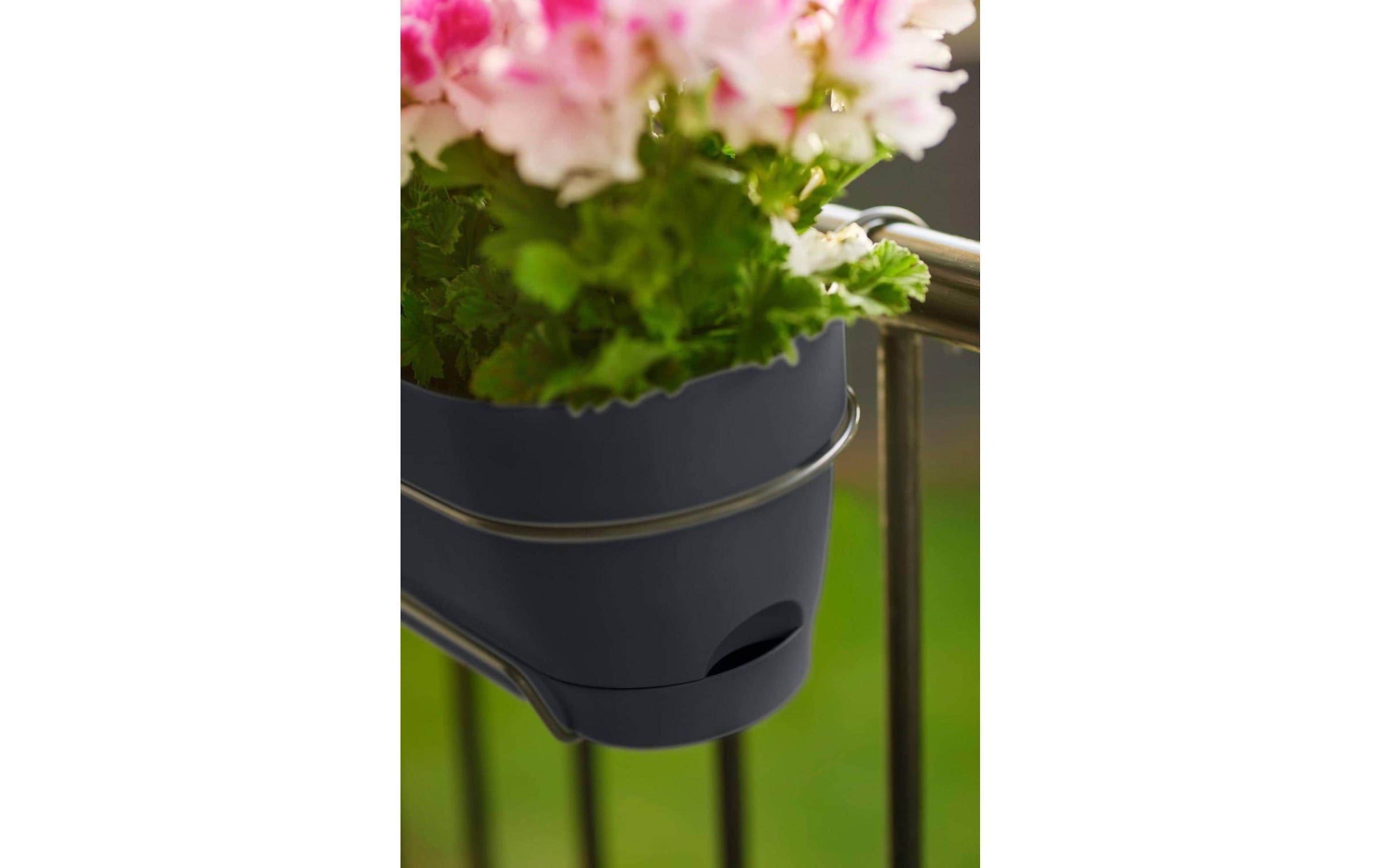 Elho Pot de fleurs »Vibia Campana Balkonkasten Allin1 70 cm«