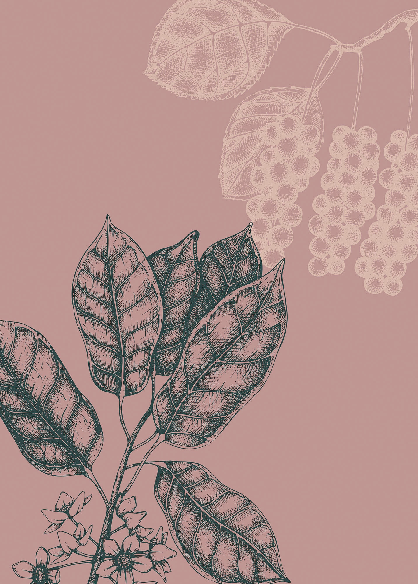 Image of Komar Bild "Wild Berry" Natur 1 Stk. tlg. Wandbild zur Dekoration - ohne Rahmen