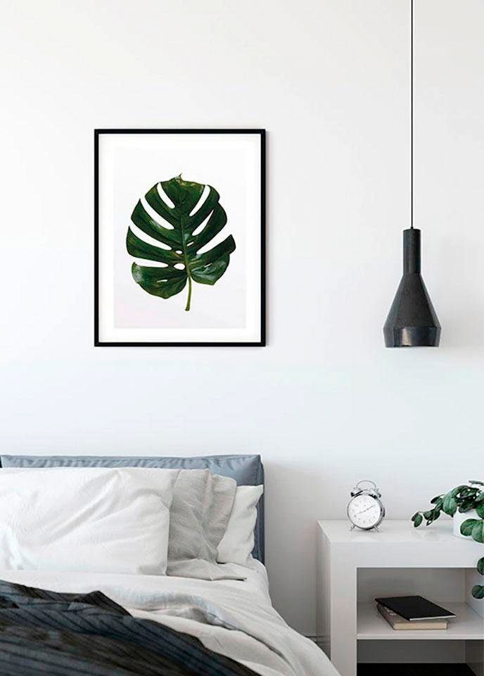 Image of Komar Bild "Monstera Leaf" Blätter Pflanzen 1 Stk. tlg. Wandbild zur Dekoration - ohne Rahmen