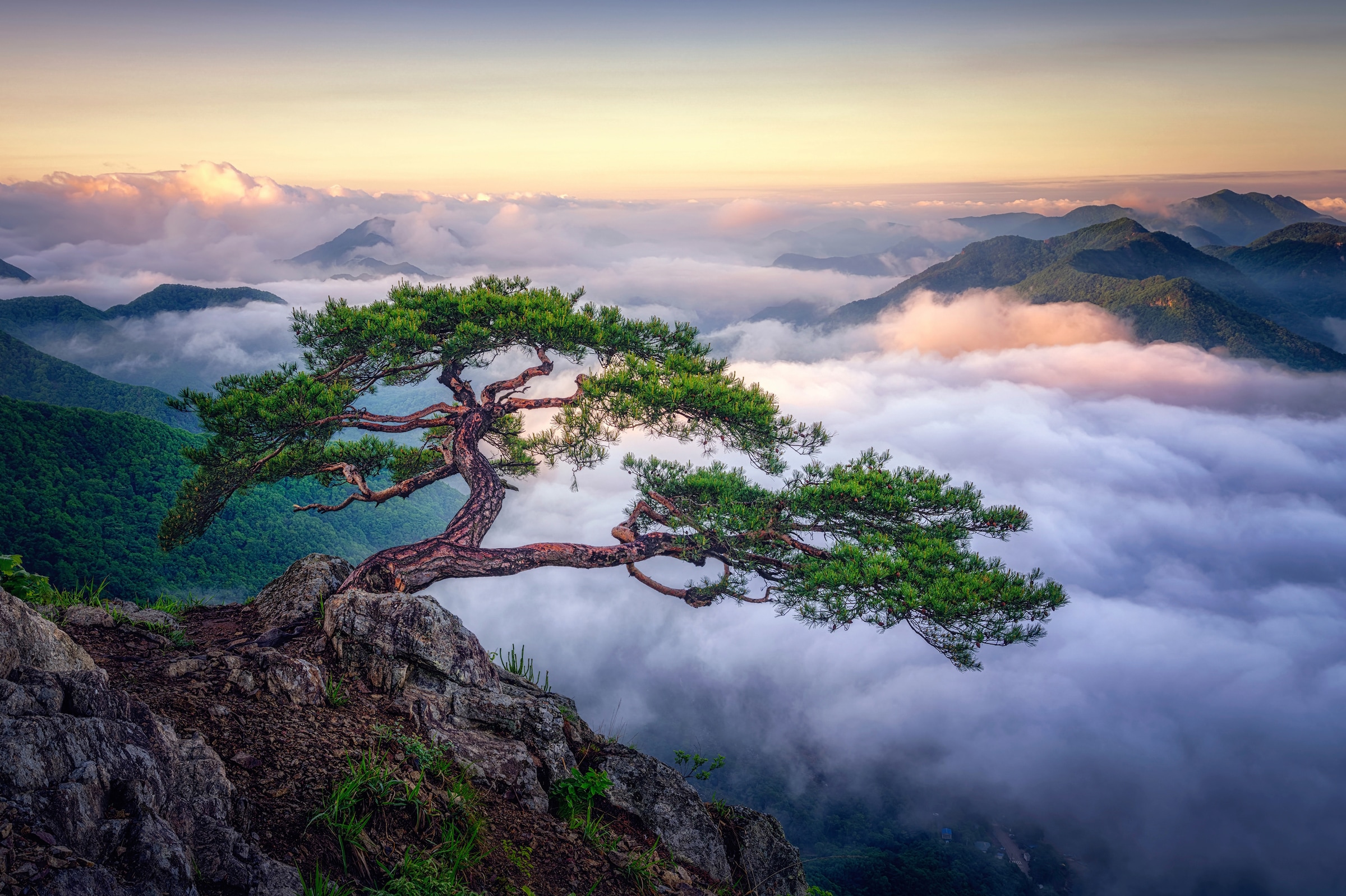 Papermoon Fototapete "Photo-Art TIGER SEO, AUF DEM BERG"