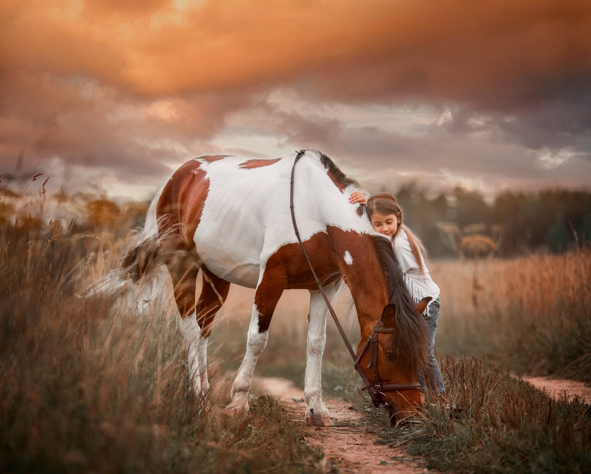 Image of Papermoon Fototapete "PINTO PONY-PFERD MÄDCHEN SCHECKE TIER MINI INDIAN"