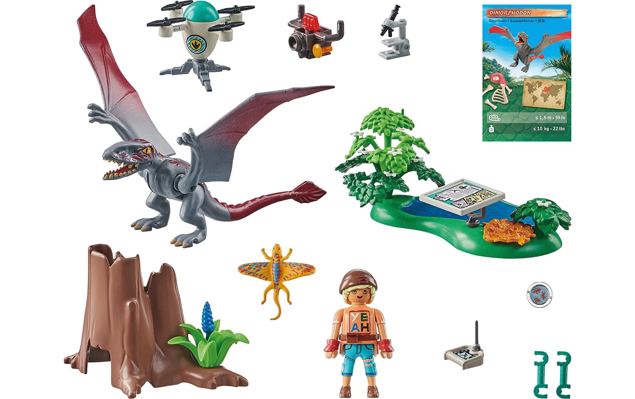 Playmobil® Spielbausteine »Dinos Beobachtungsstation für Dimorphodon 71525«, (49 St.)