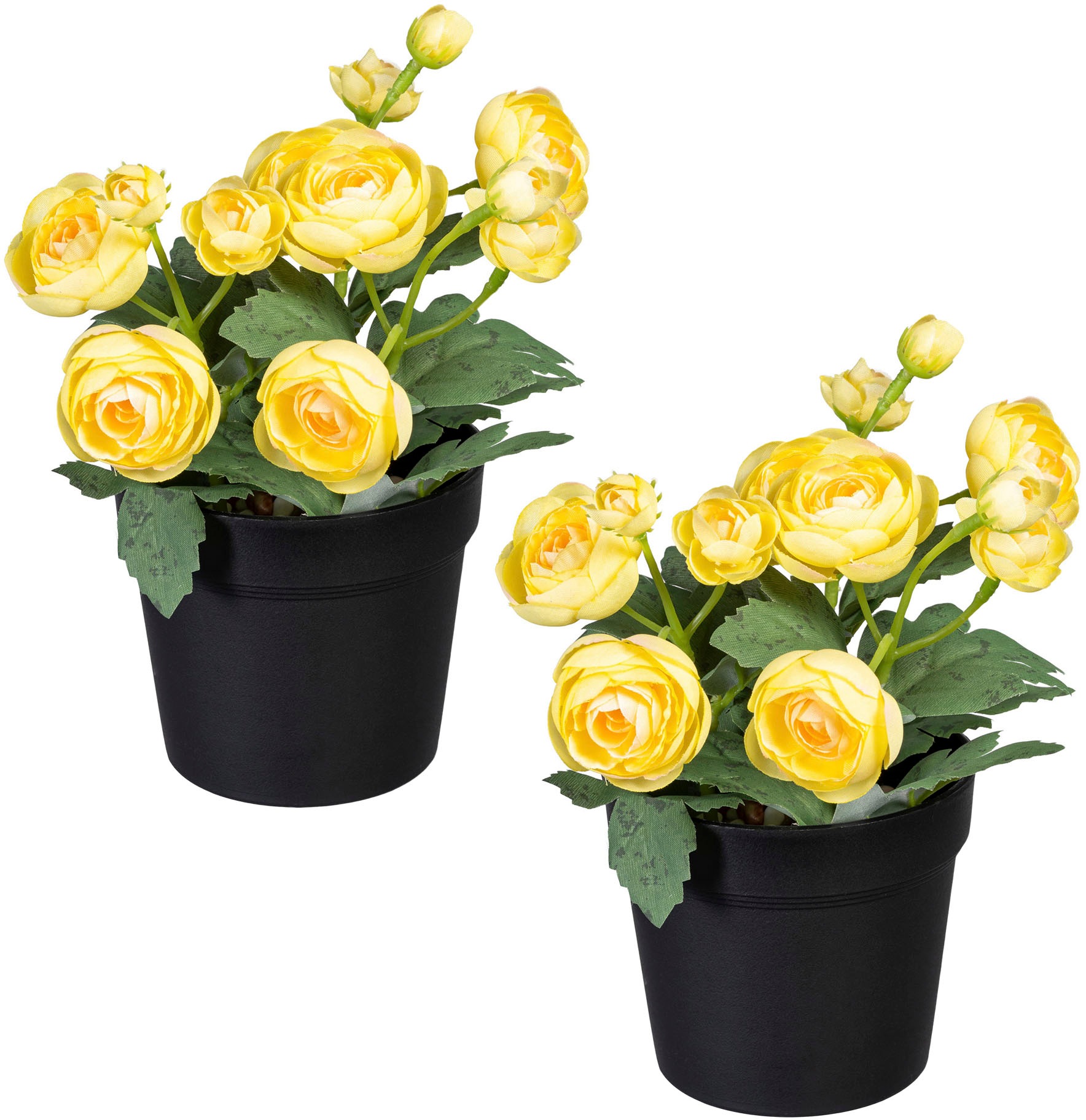 Image of Creativ green Kunstpflanze »Ranunkel«, (2 St.), im 2er Set bei Ackermann Versand Schweiz