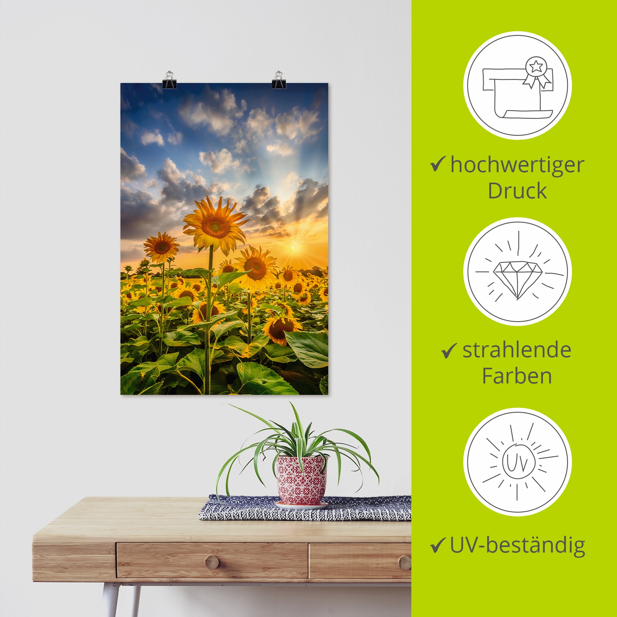 Artland Wandbild »Sonnenblumen im Sonnenuntergang«, Blumenbilder, (1 St.), als Leinwandbild, Poster in verschied. Grössen