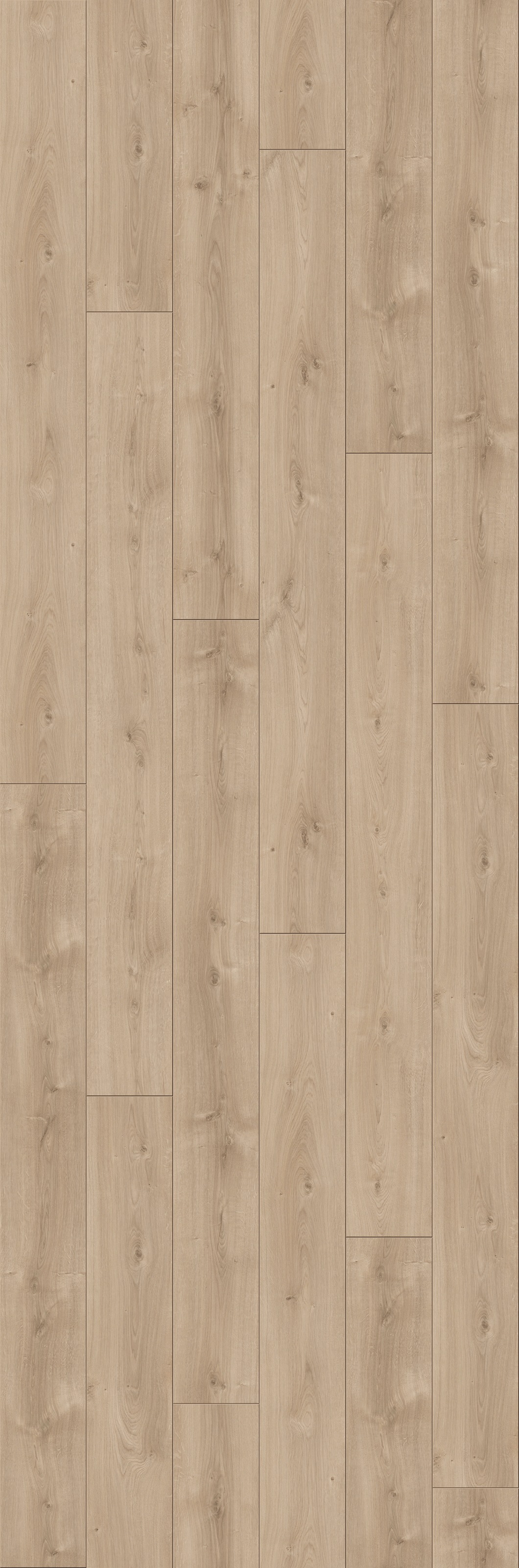 Image of PARADOR Laminat »Trendtime 6 - Eiche Avant«, (Packung), spezielle Trägerplatte, 2200 x 243 mm, Stärke: 9 mm bei Ackermann Versand Schweiz