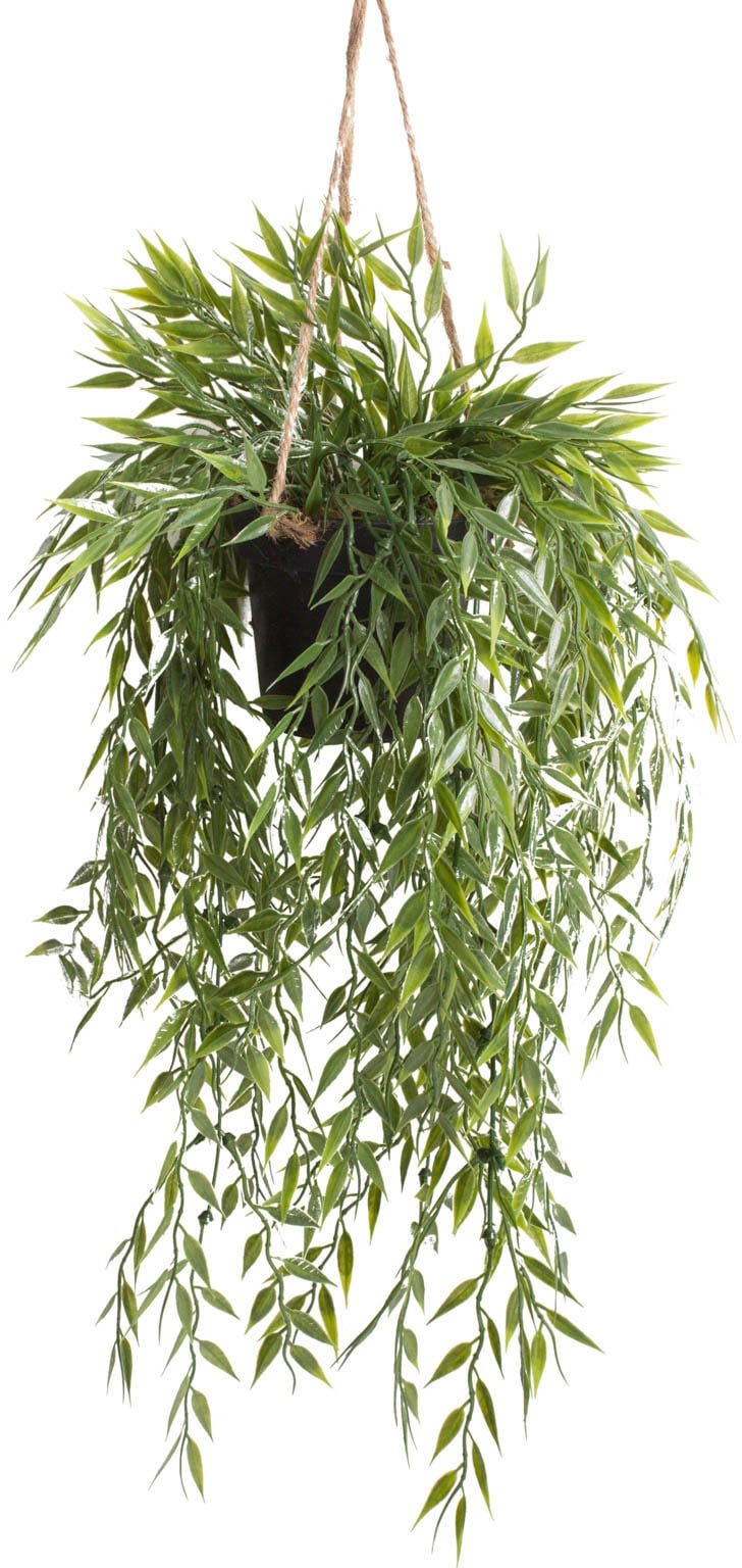 Botanic-Haus Künstliche Zimmerpflanze »Bambus-Hängeampel«